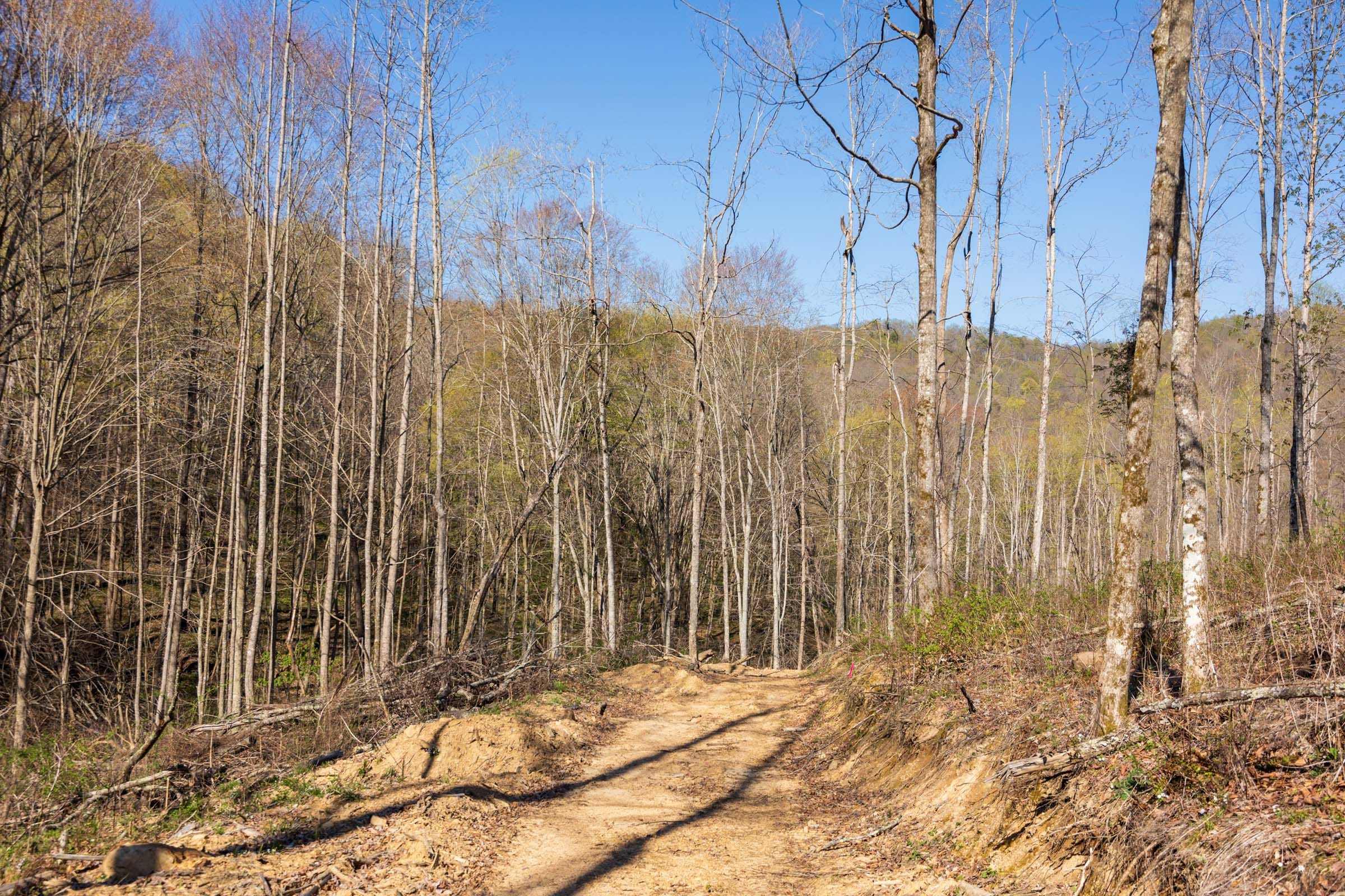 Creek Hollow Phase I Tract 39 photo 9