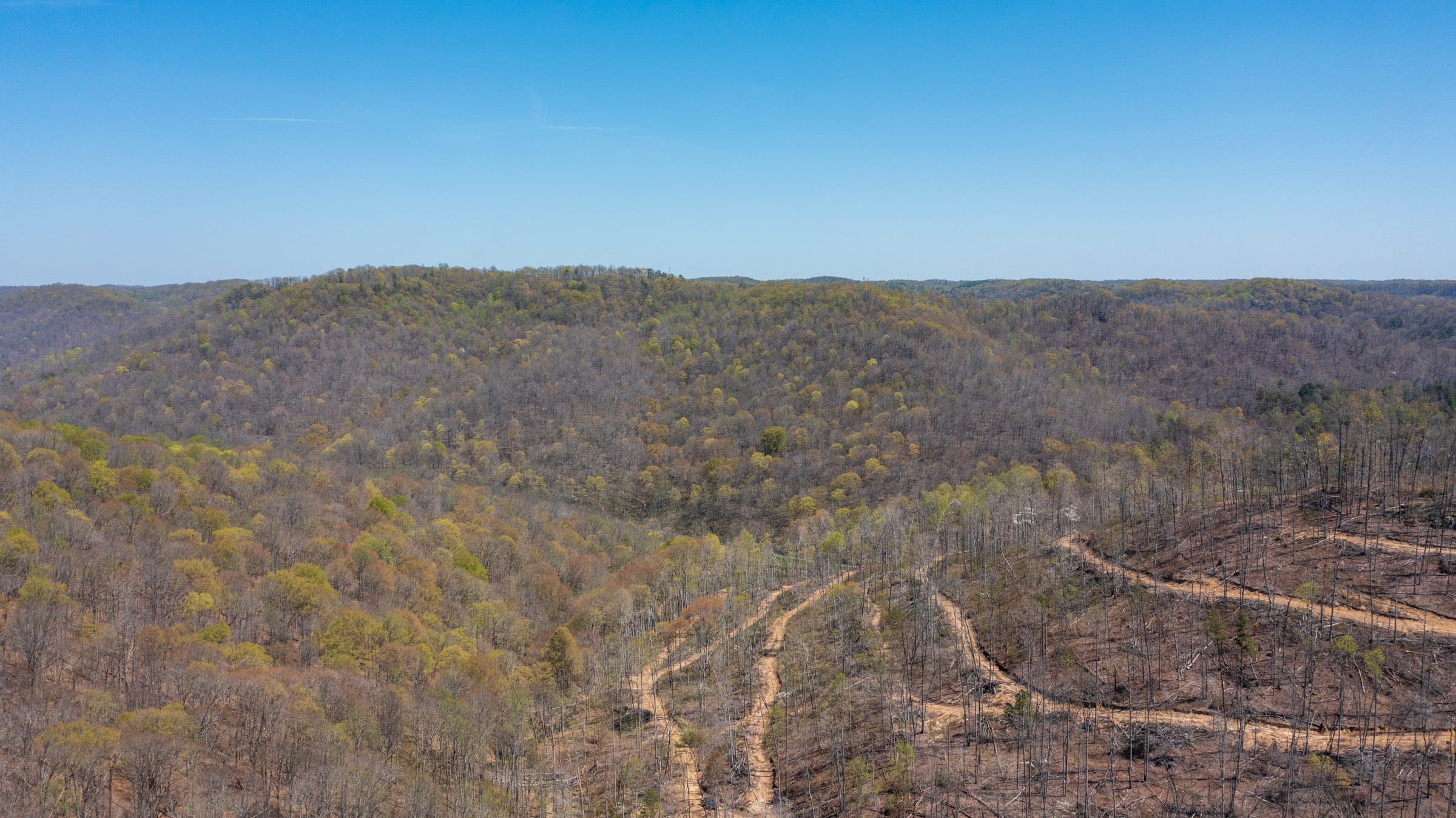 Creek Hollow Phase I Tract 39 photo 13