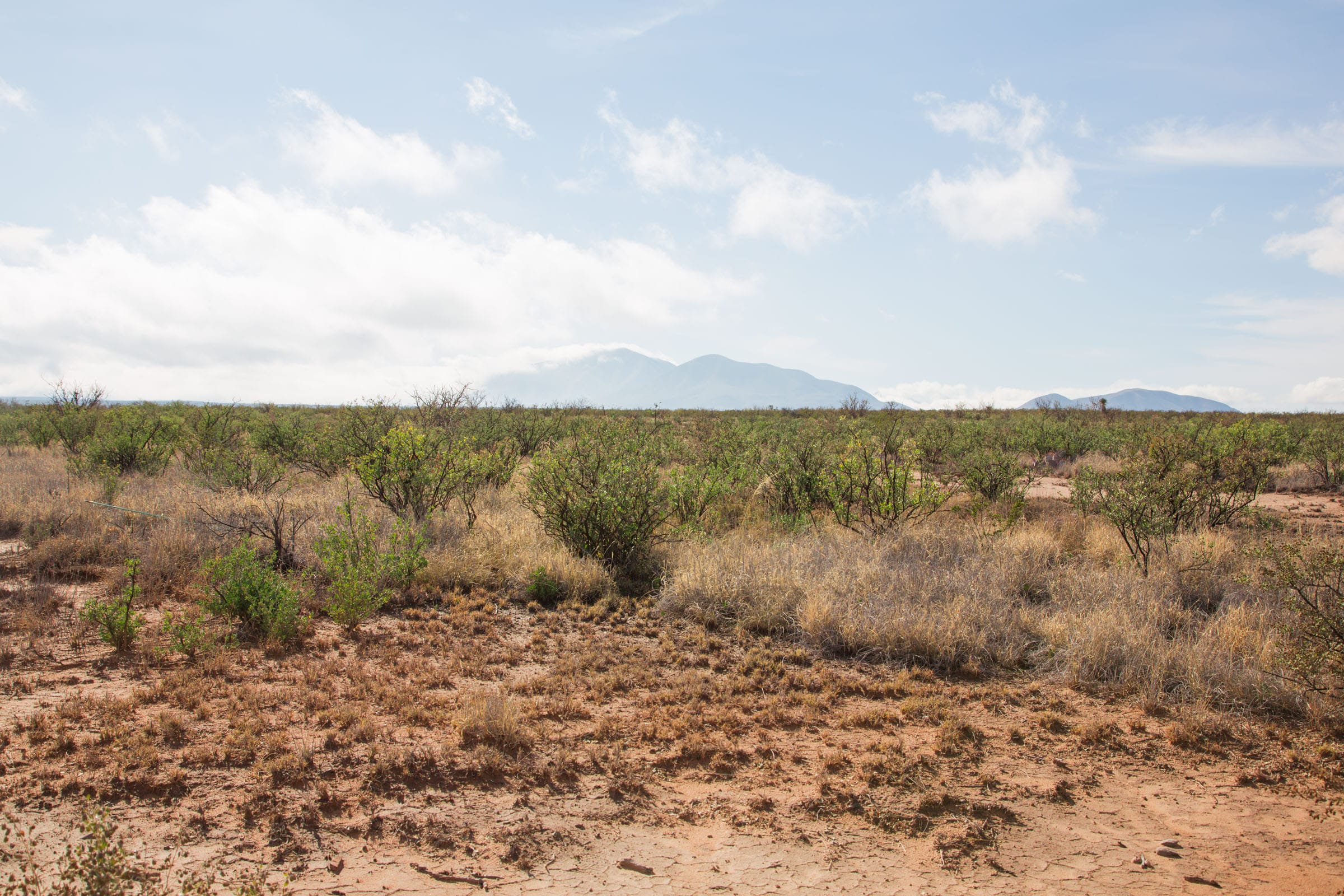 Sunset Ranches Tract 13 photo 10