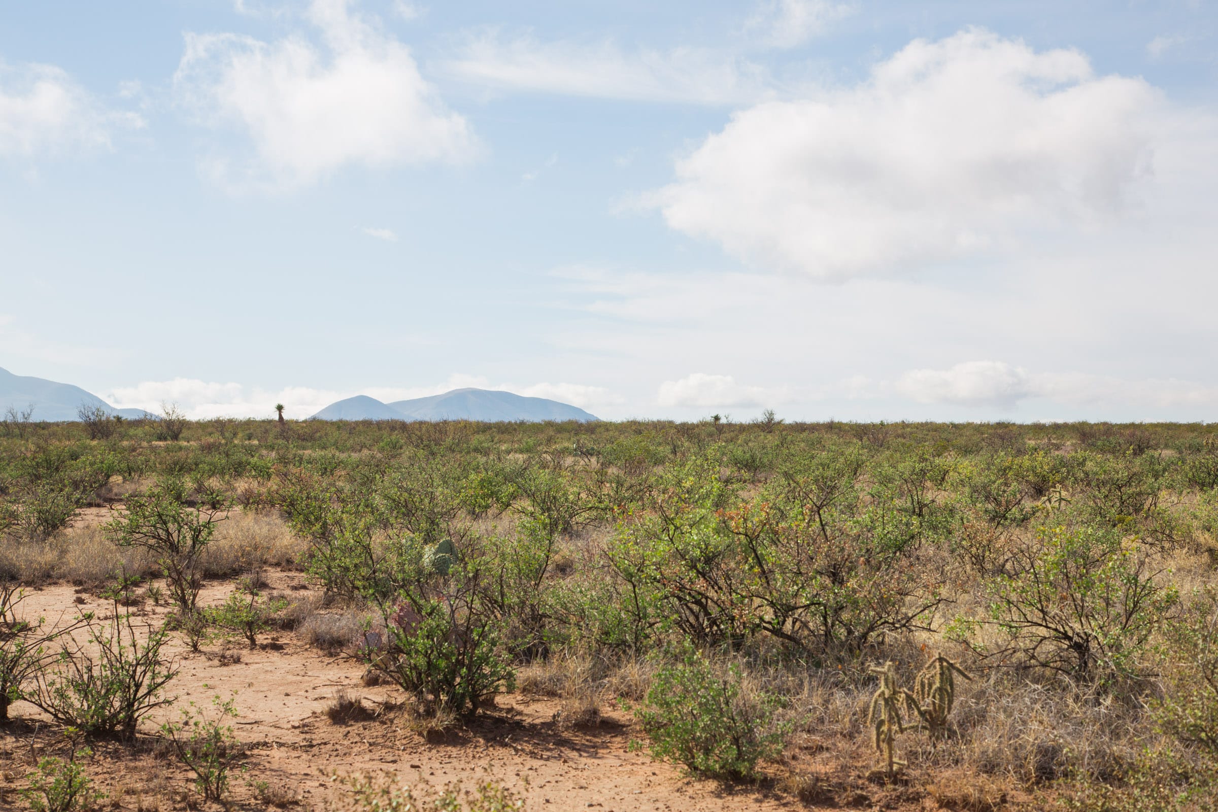 Sunset Ranches Tract 13 photo 11