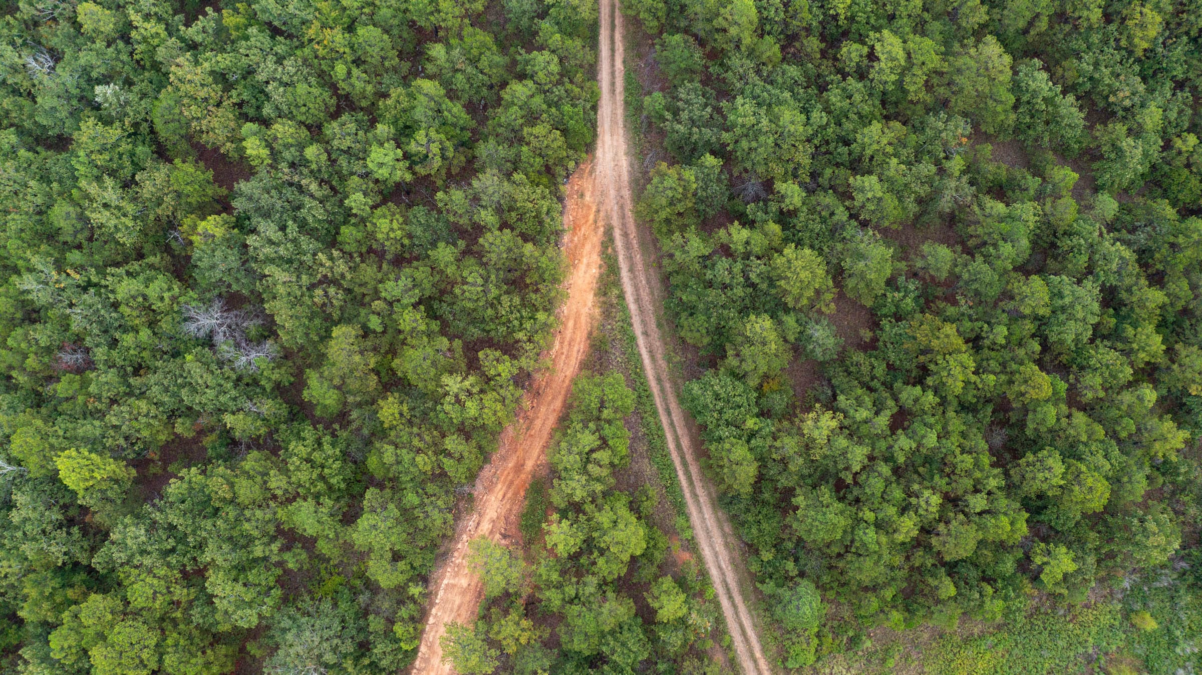 Stone Bridge Phase V Tract 356 photo 14