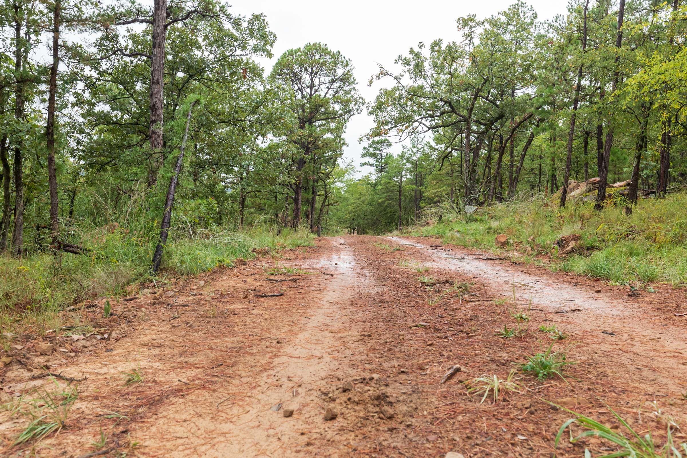 Stone Bridge Phase V Tract 356 photo 1