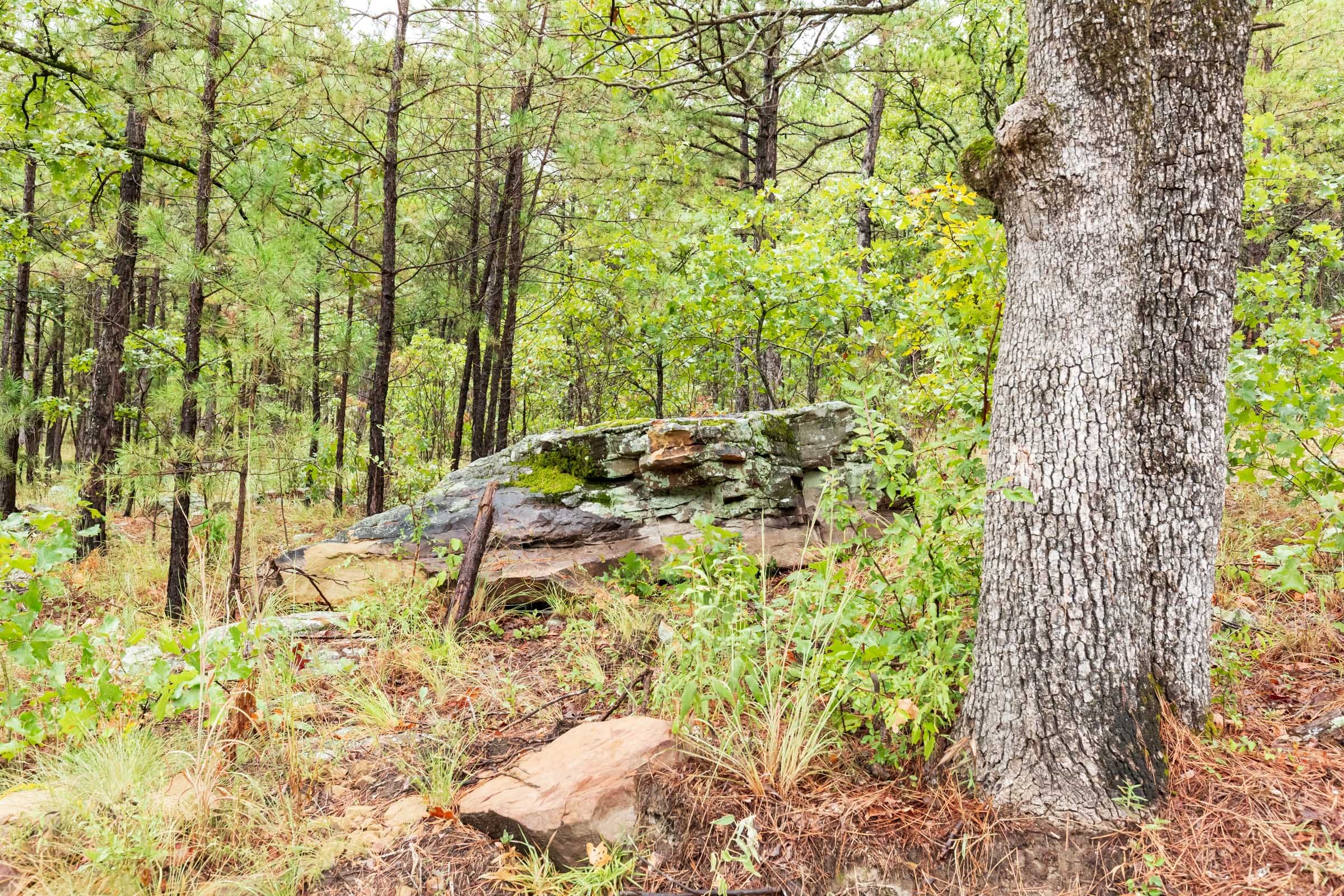 Stone Bridge Phase V Tract 356 photo 12