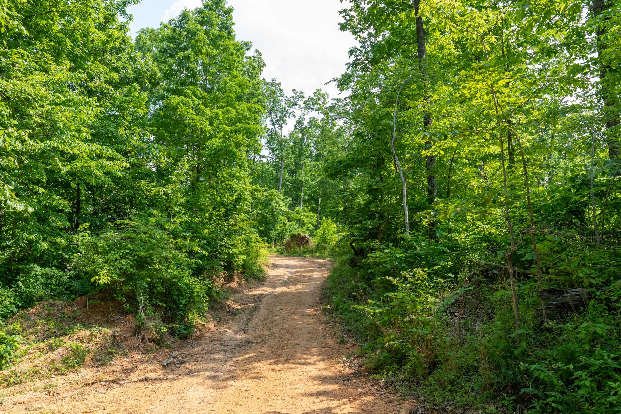 Cedar Creek Tract 59 photo 1