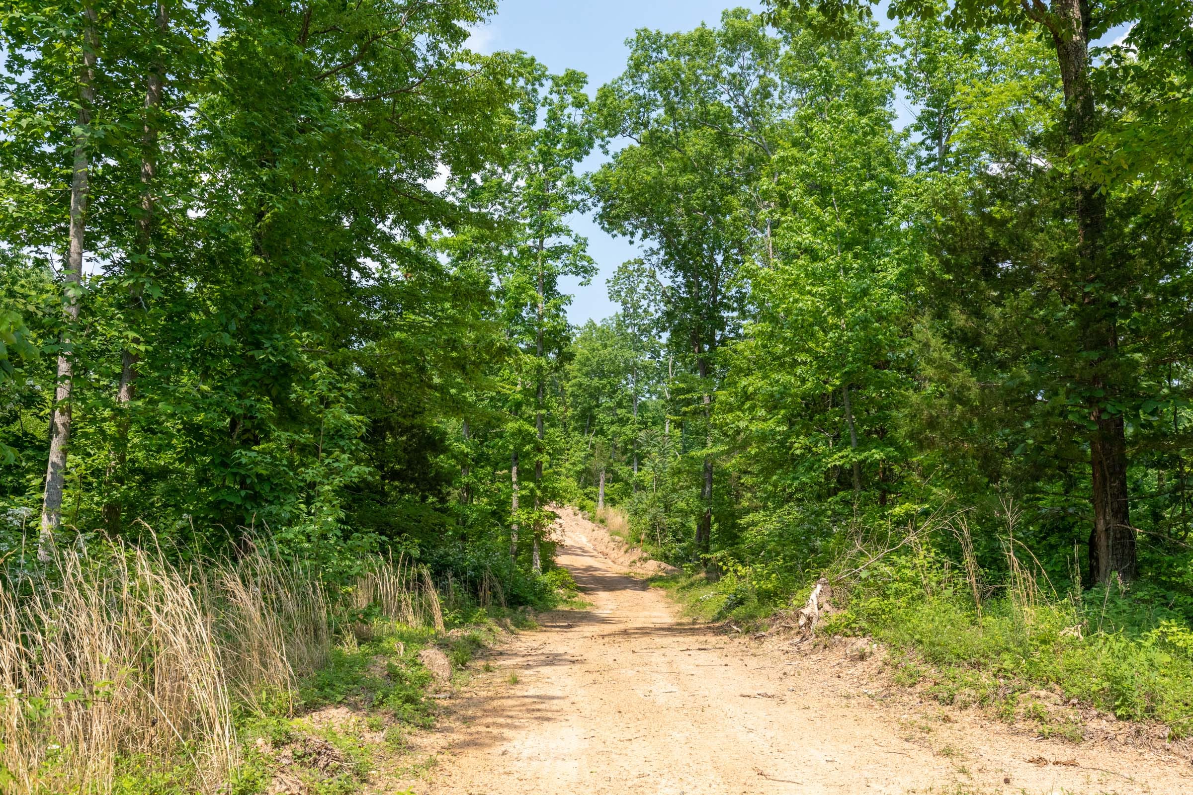 Cedar Creek Tract 59 photo 9