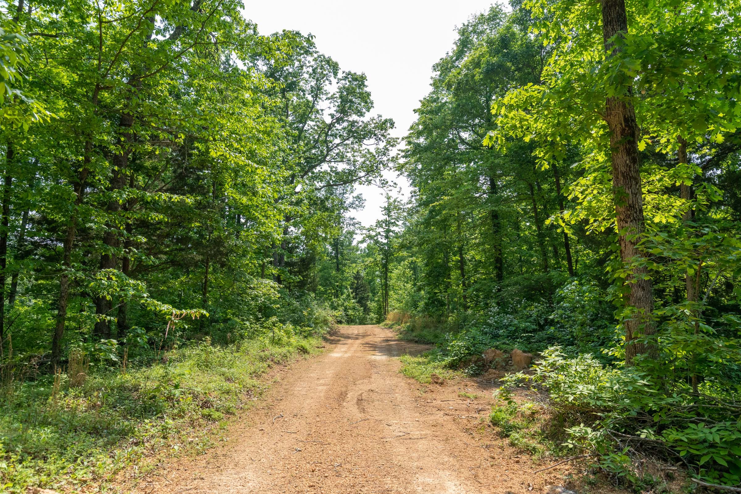 Cedar Creek Tract 59 photo 5
