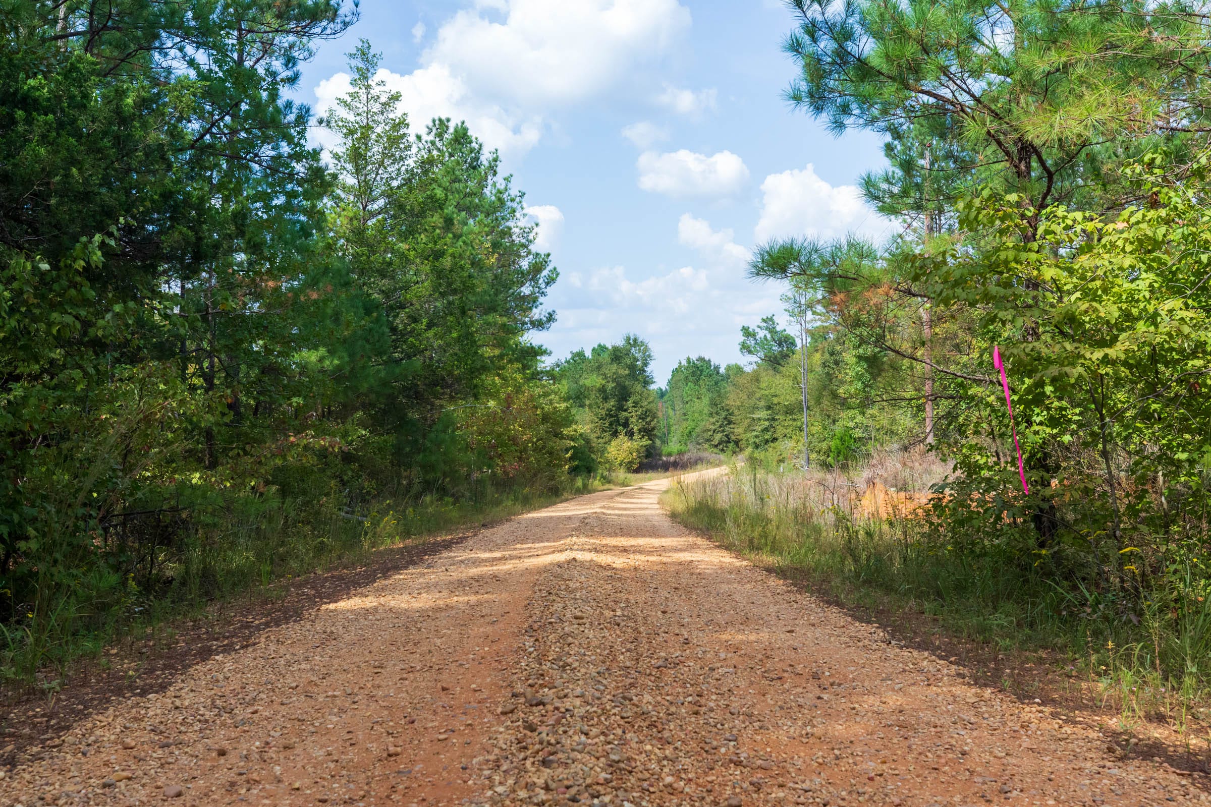 Willow Grove Tract 3 photo 1