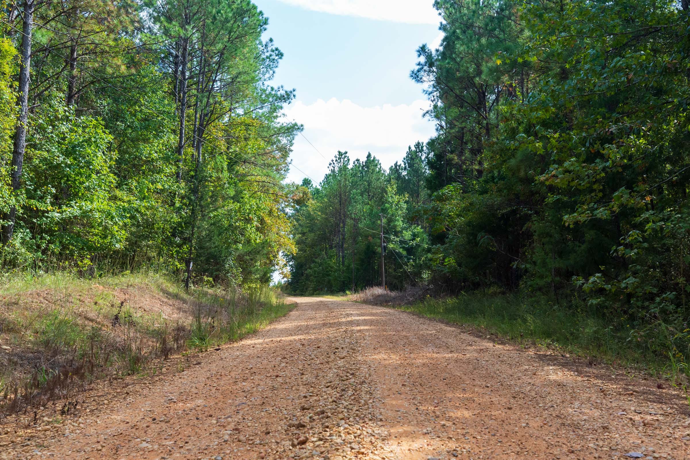 Willow Grove Tract 3 photo 7
