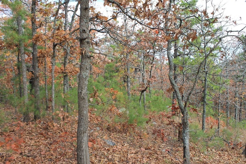 Indian Ridge – Phase I Tract 4 photo 2
