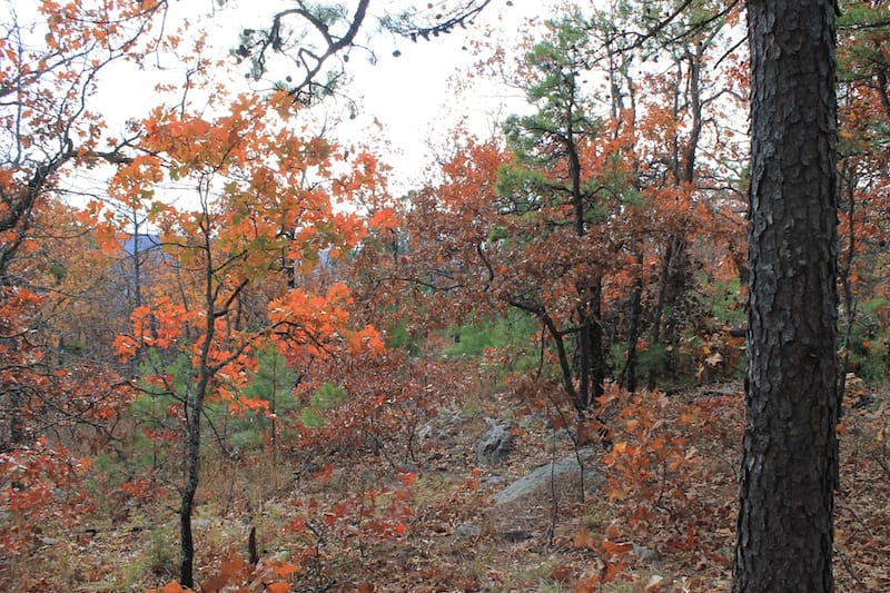 Indian Ridge – Phase I Tract 4 photo 4
