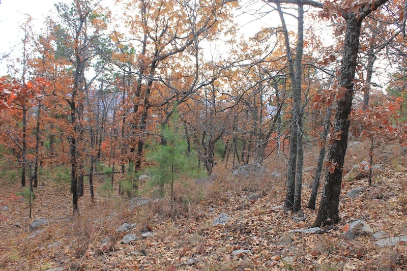 Indian Ridge – Phase I Tract 4 photo 5