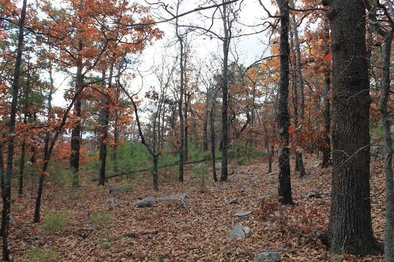 Indian Ridge – Phase I Tract 4 photo 6