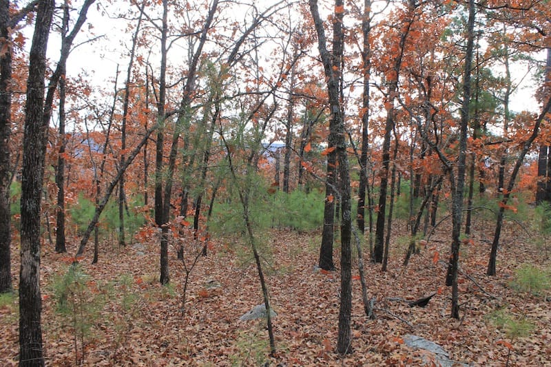 Indian Ridge – Phase I Tract 4 photo 7