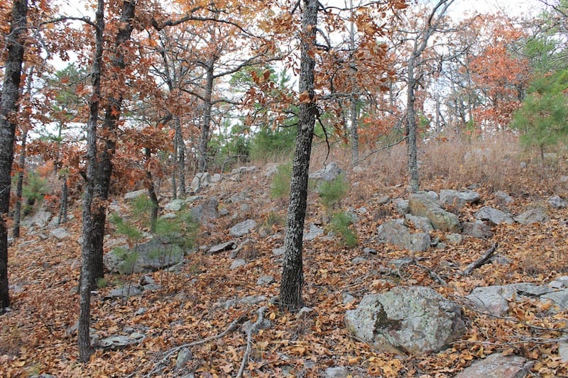 Indian Ridge – Phase I Tract 4 photo 10