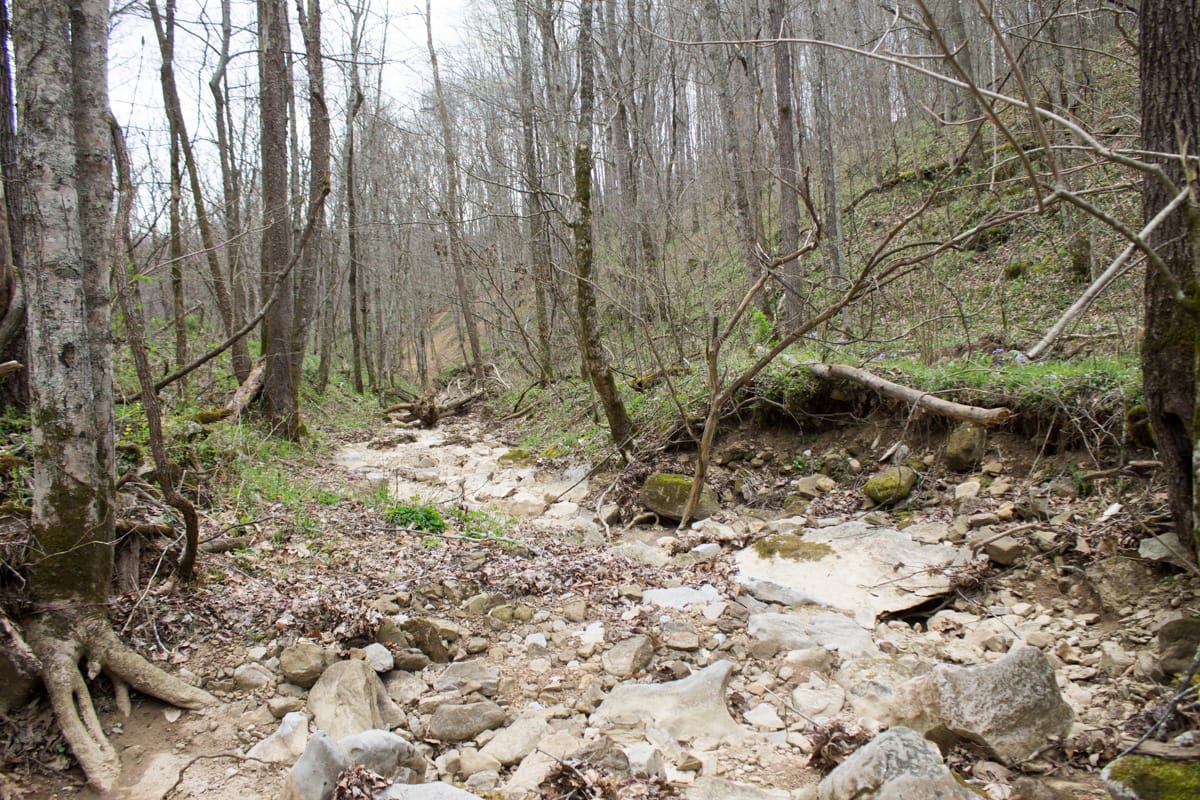 Chestnut Oak Ridge Tract 6 photo 3
