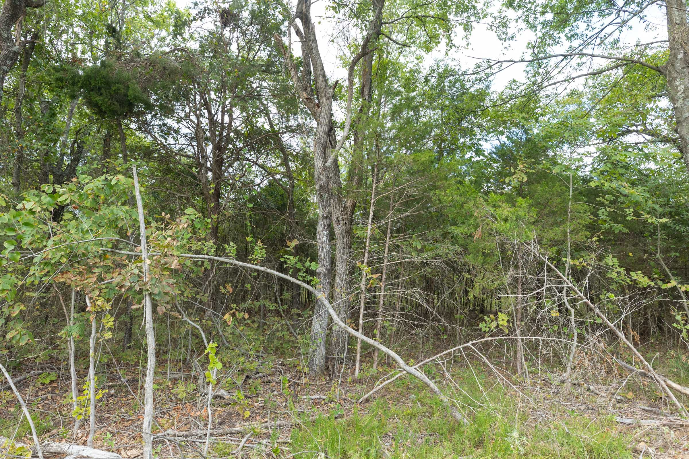 Reserves At Cattail Cove Phase II Tract 80 photo 10