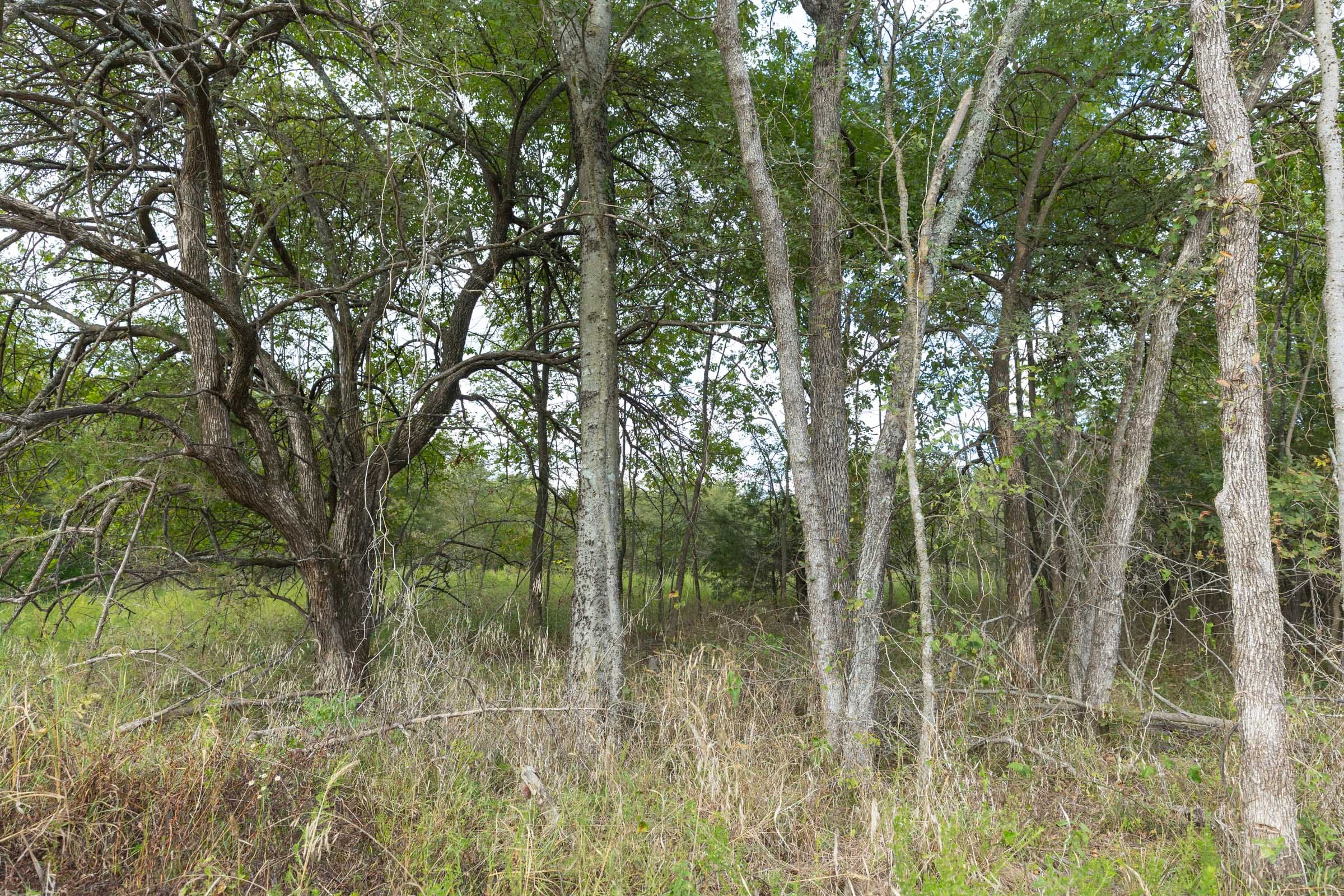 Reserves At Cattail Cove Phase II Tract 80 photo 9