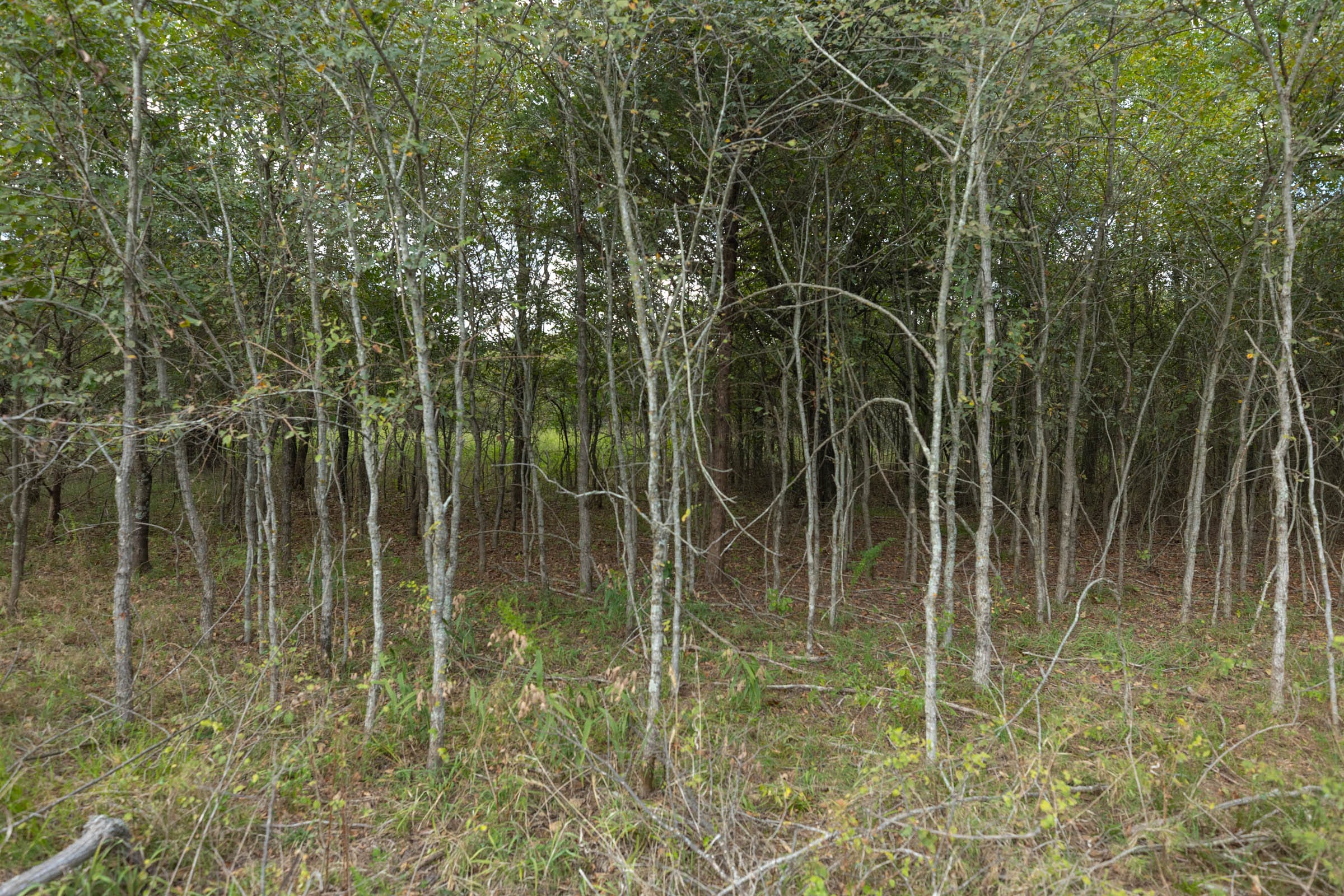Reserves At Cattail Cove Phase II Tract 80 photo 8