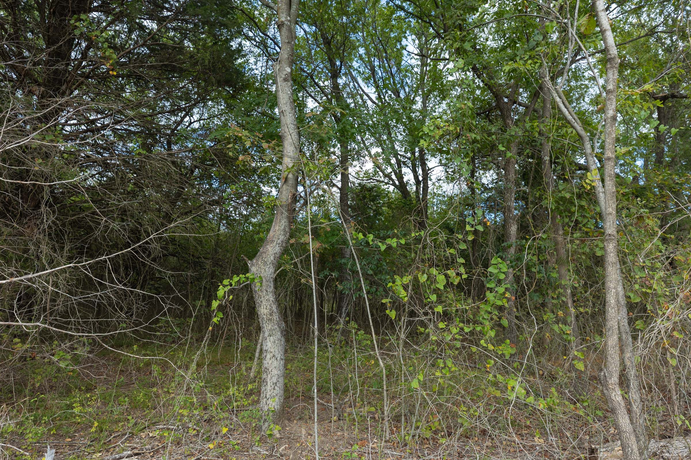 Reserves At Cattail Cove Phase II Tract 80 photo 7