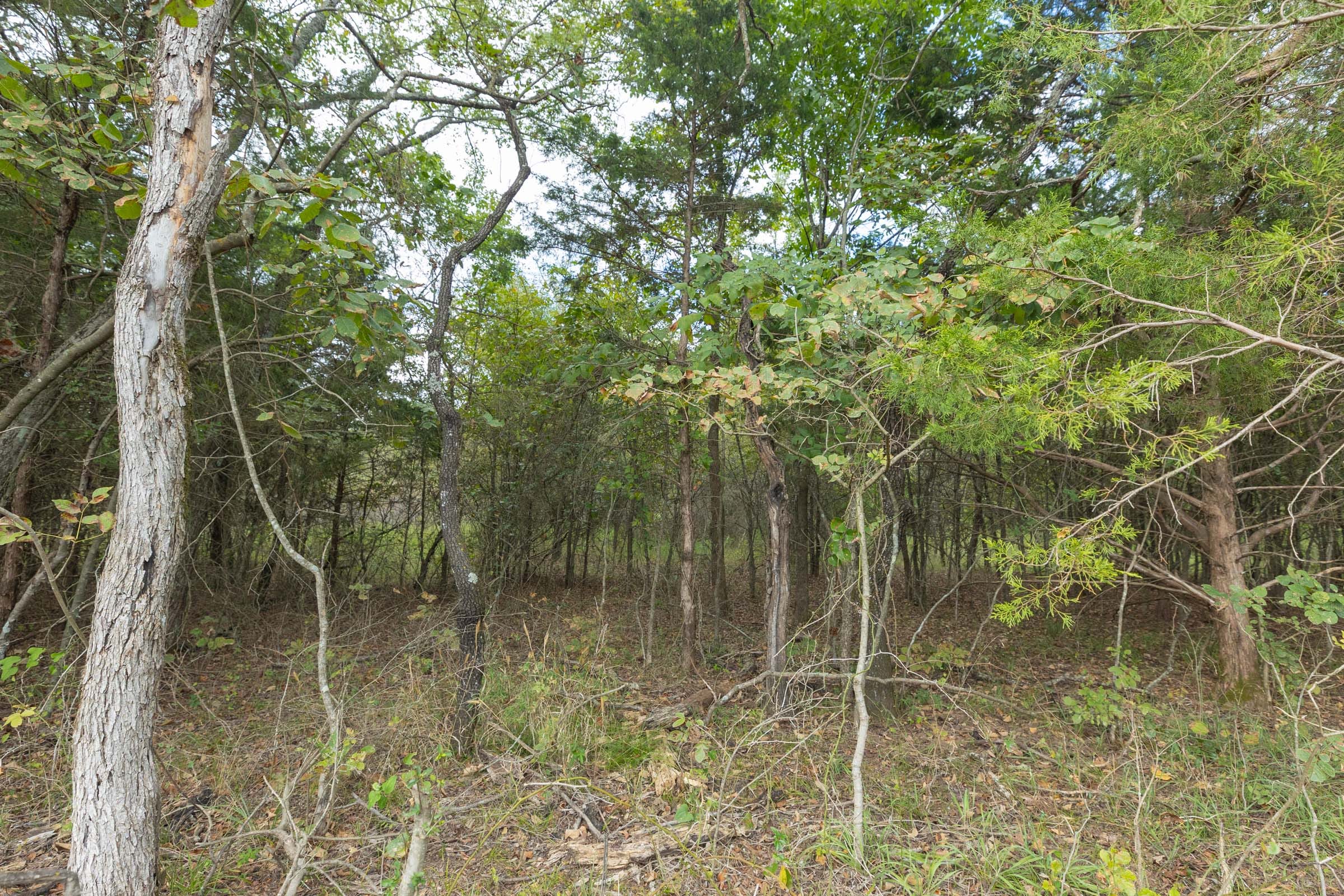 Reserves At Cattail Cove Phase II Tract 80 photo 6