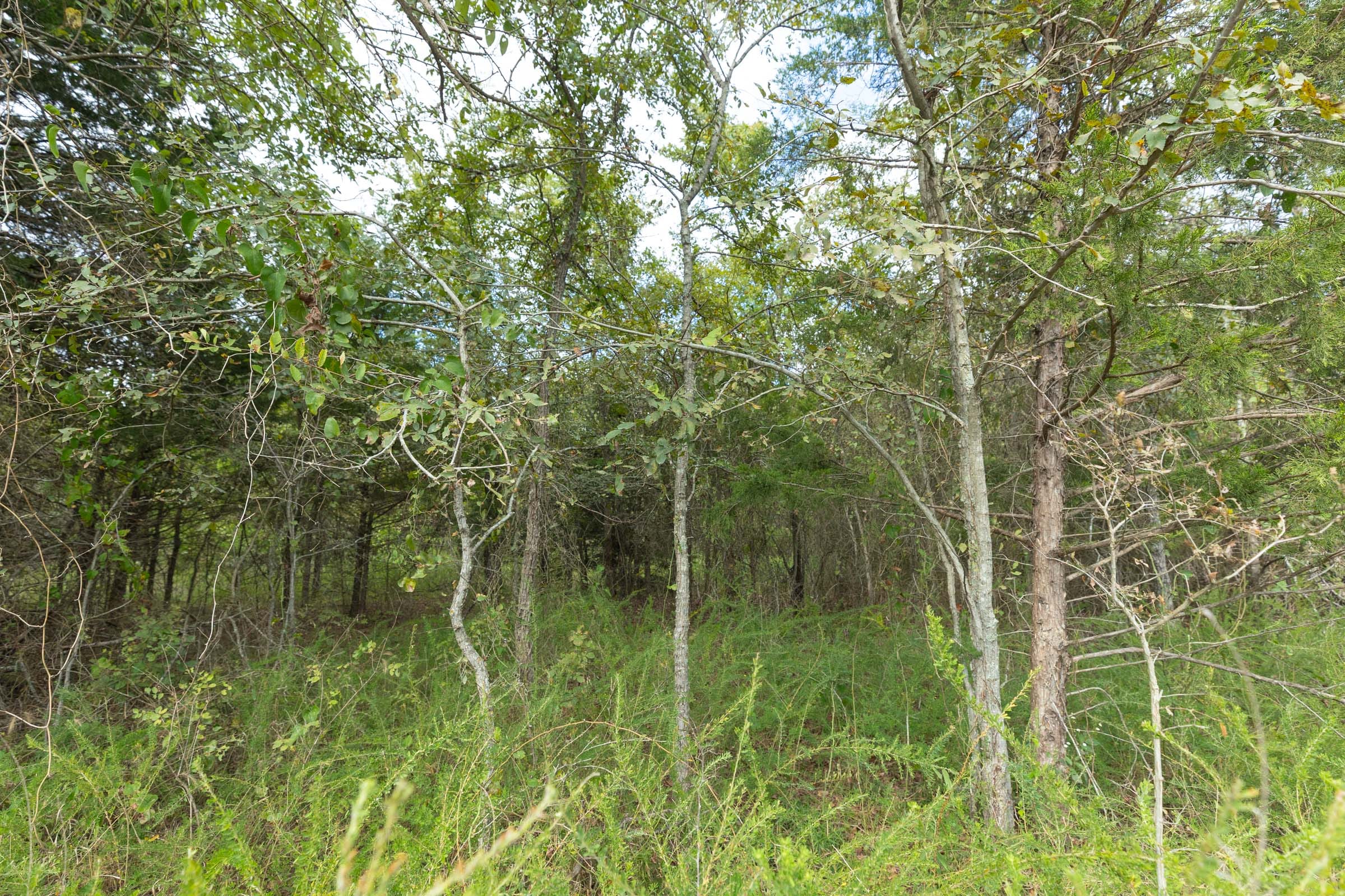 Reserves At Cattail Cove Phase II Tract 80 photo 5