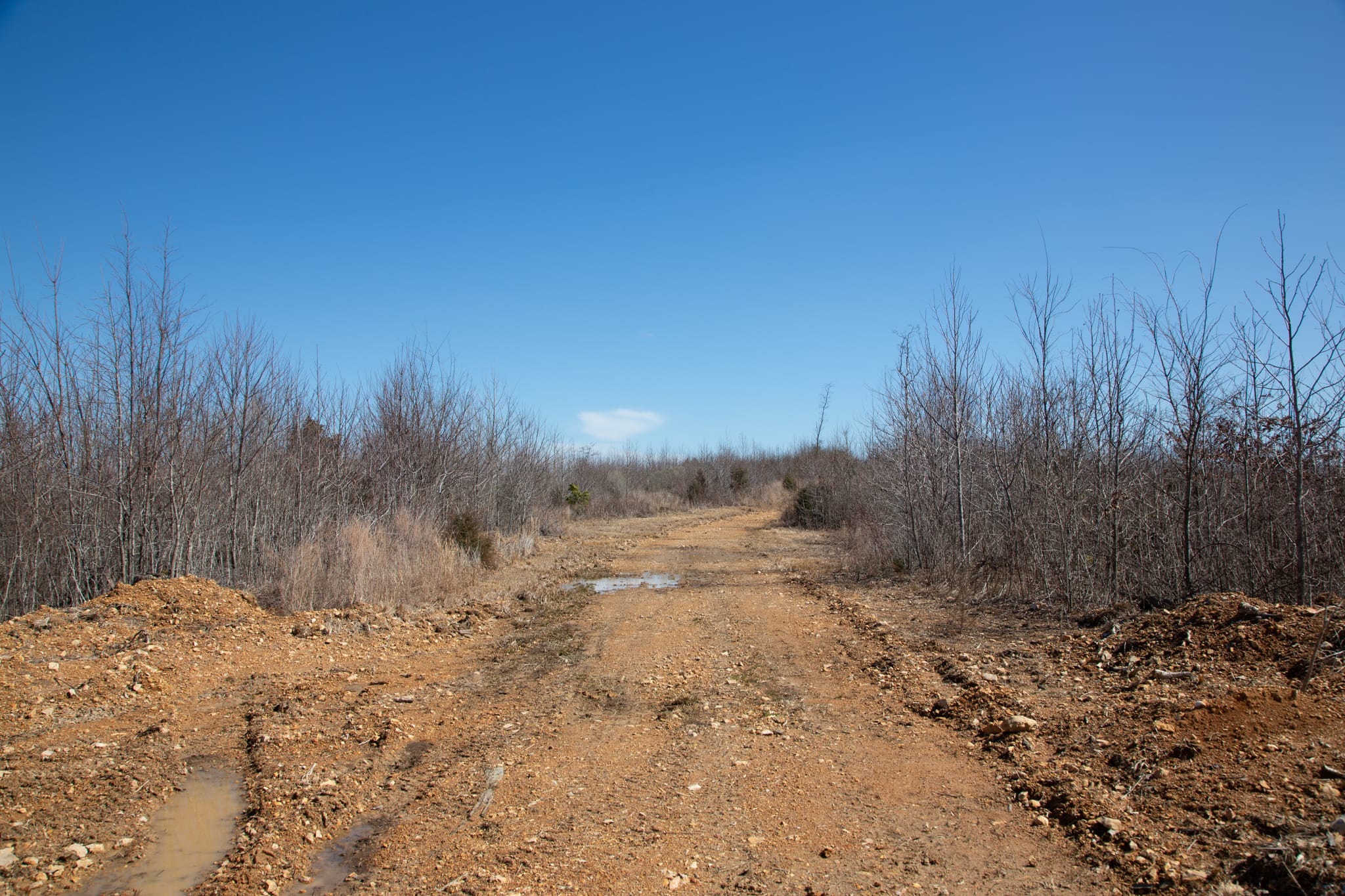 Southwind Ranch Tract 2 photo 2