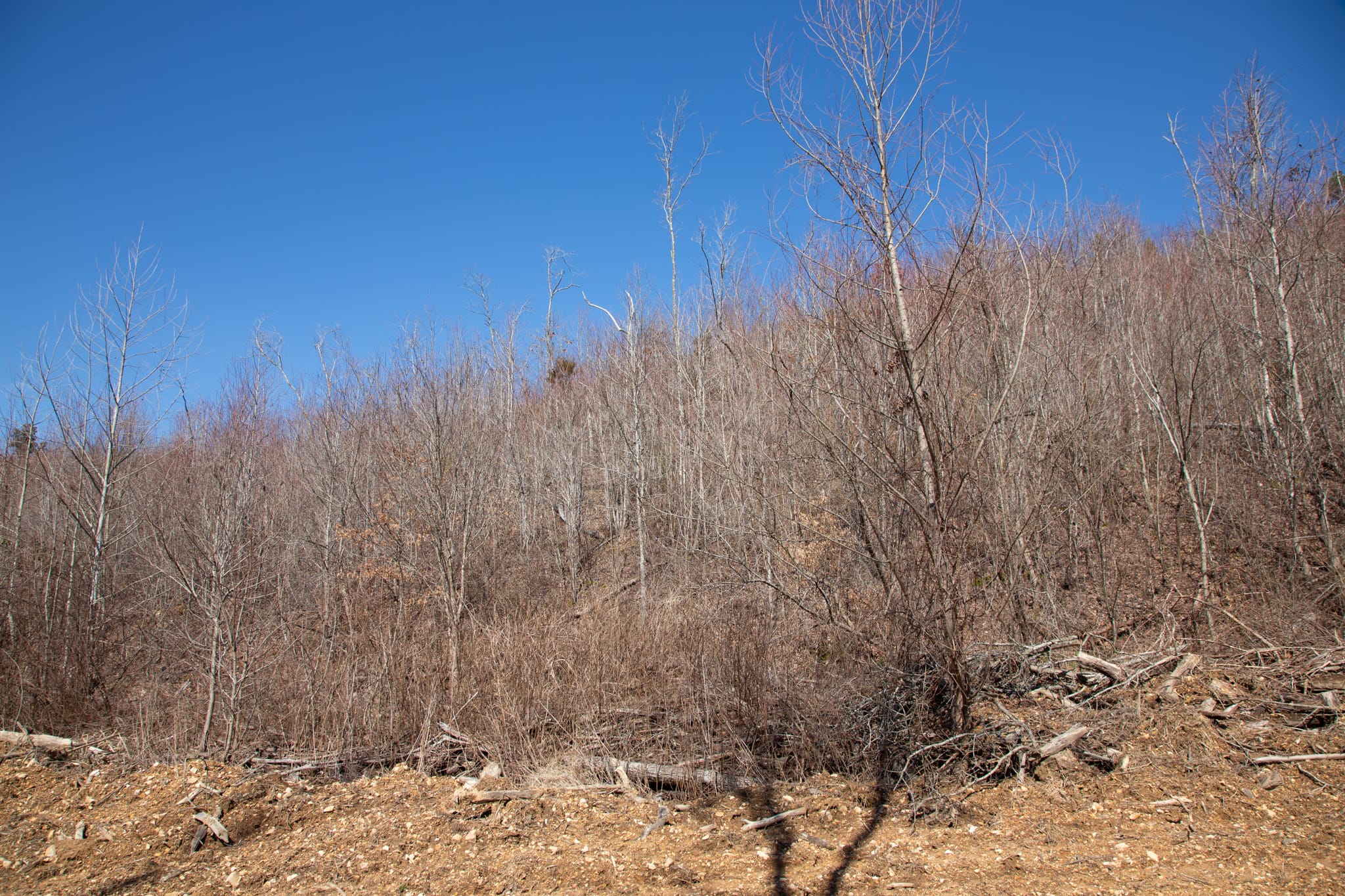 Southwind Ranch Tract 2 photo 8
