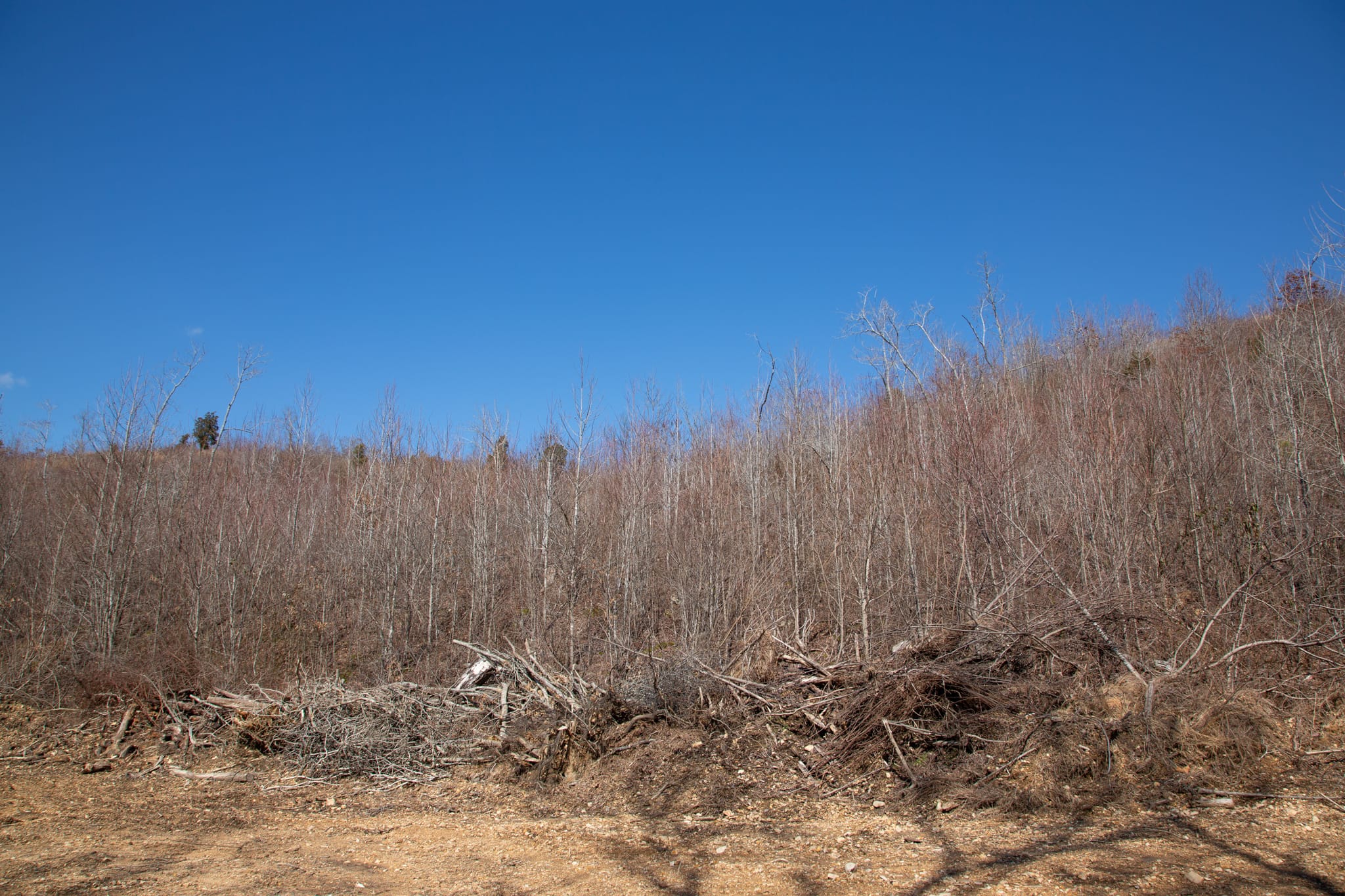 Southwind Ranch Tract 2 photo 9