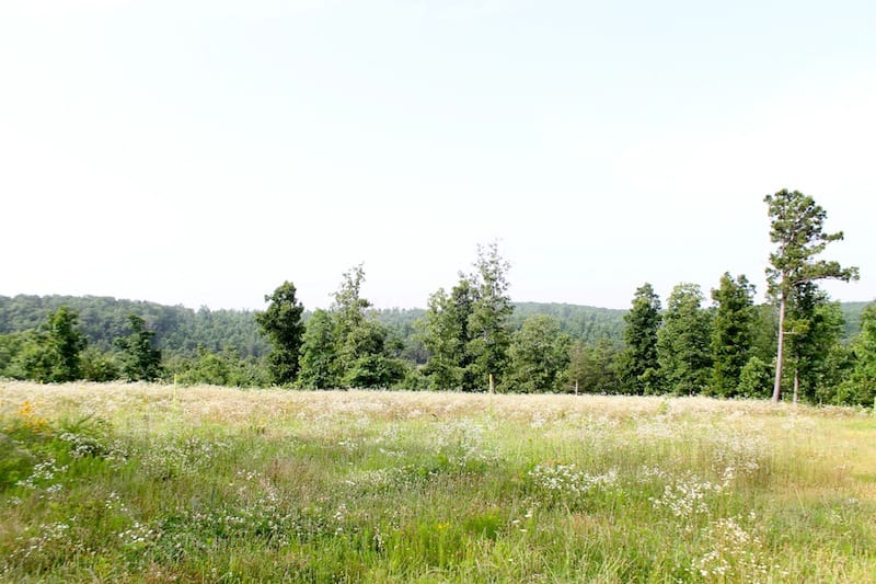 Green Mountain Ranch Tract 5 photo 1