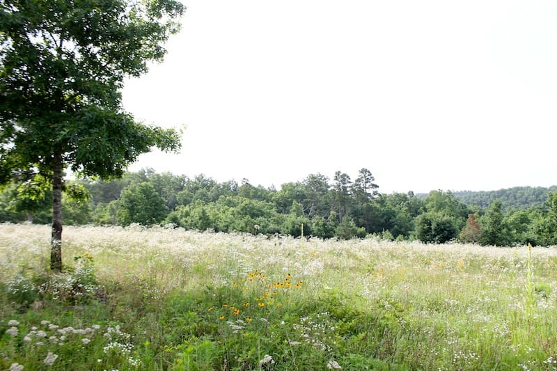 Green Mountain Ranch Tract 5 photo 2
