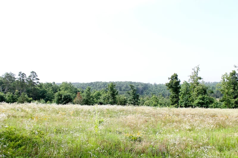 Green Mountain Ranch Tract 5 photo 3