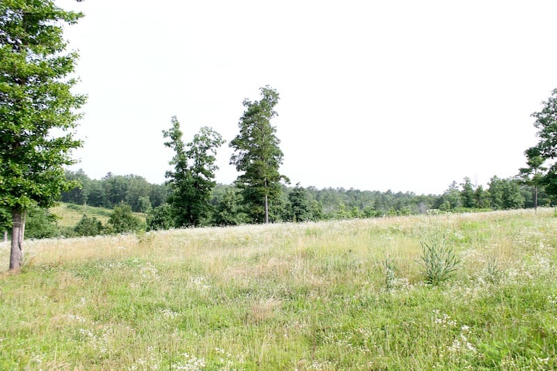 Green Mountain Ranch Tract 5 photo 4