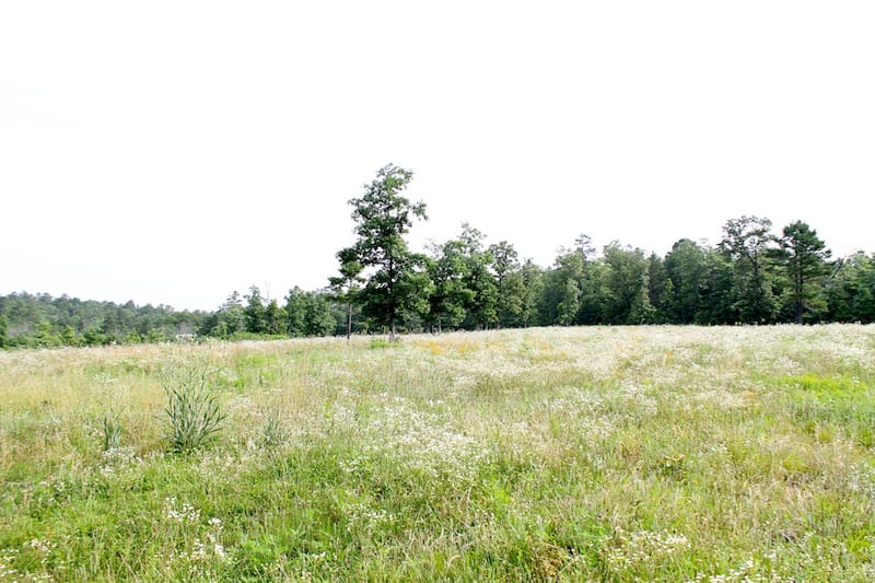 Green Mountain Ranch Tract 5 photo 5