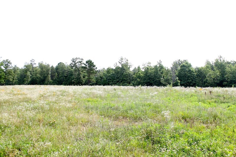 Green Mountain Ranch Tract 5 photo 6