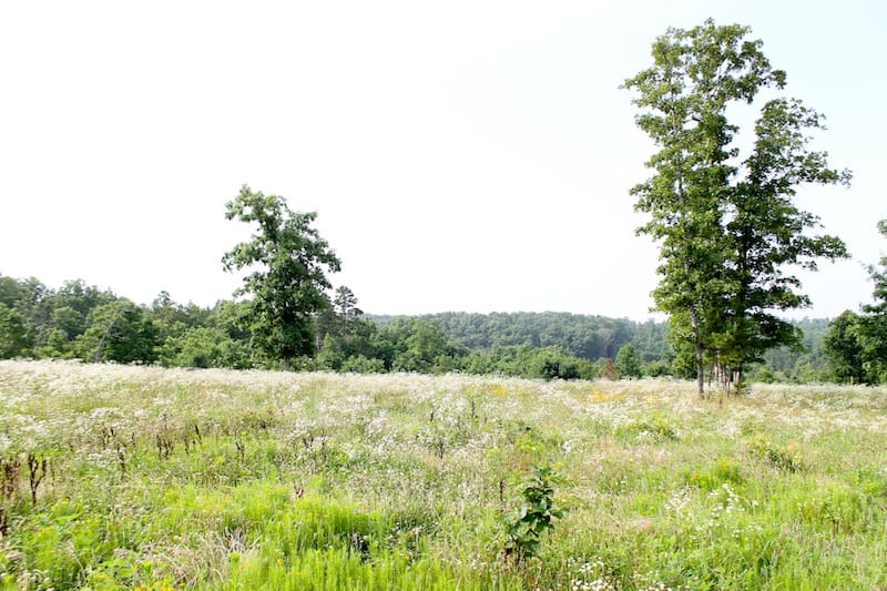 Green Mountain Ranch Tract 5 photo 7