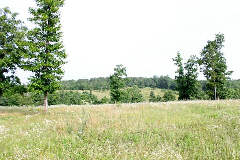 Green Mountain Ranch Tract 5 photo 8