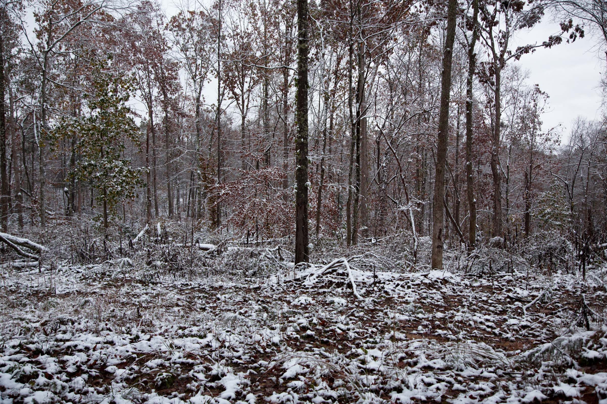 Sweet Water Ranch Tract 2 photo 3