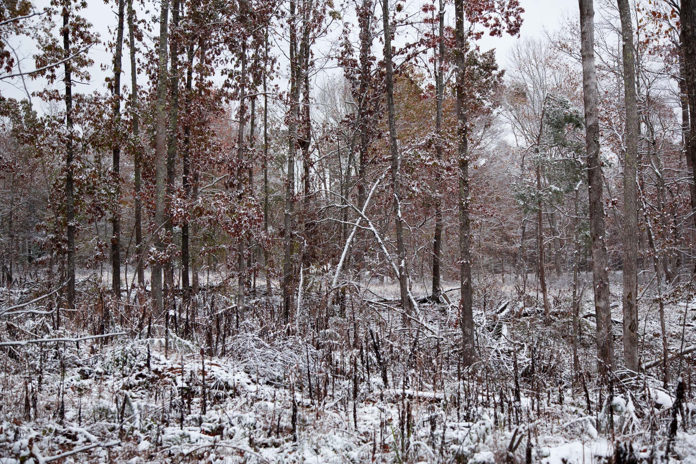 Sweet Water Ranch Tract 2 photo 4