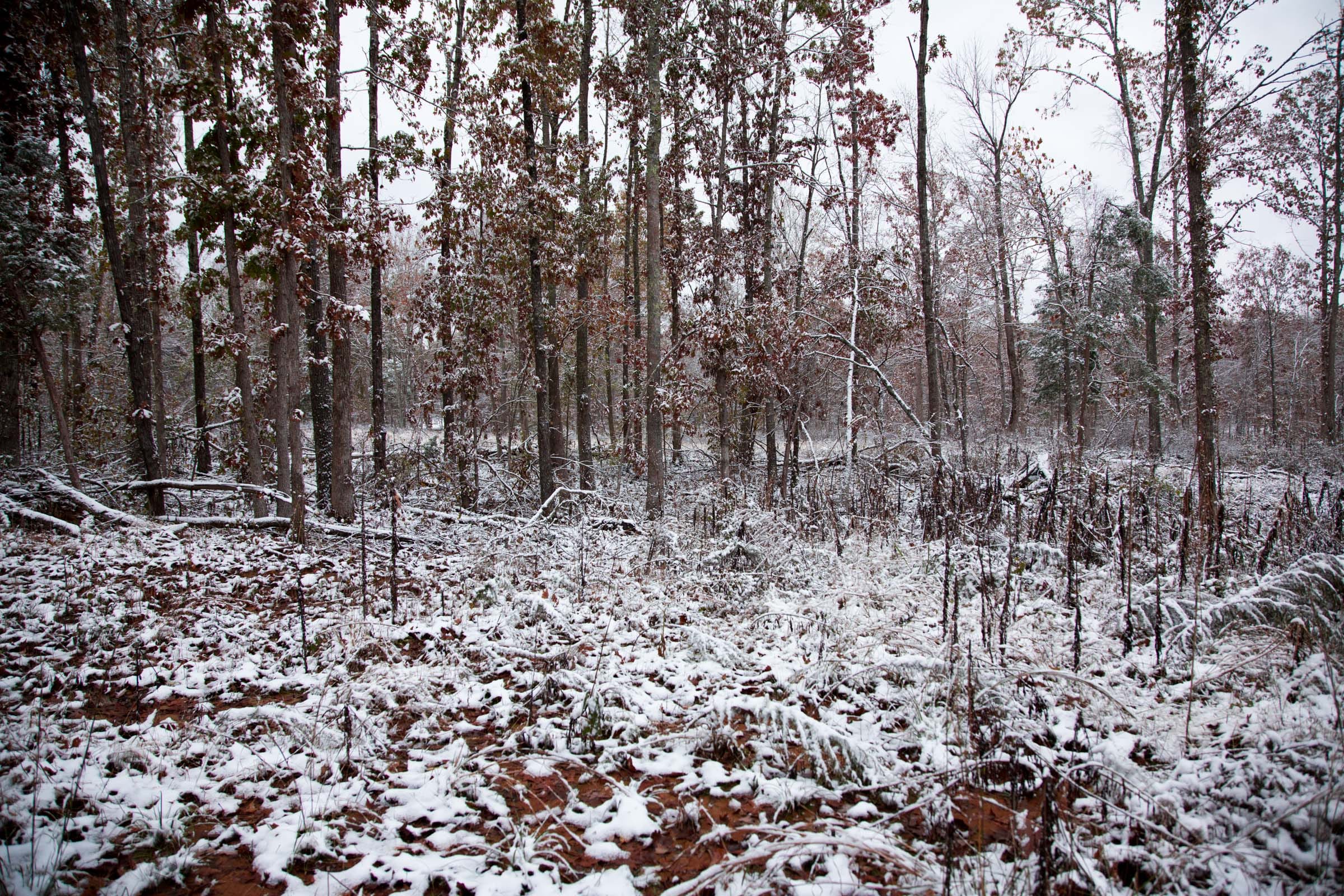 Sweet Water Ranch Tract 2 photo 5