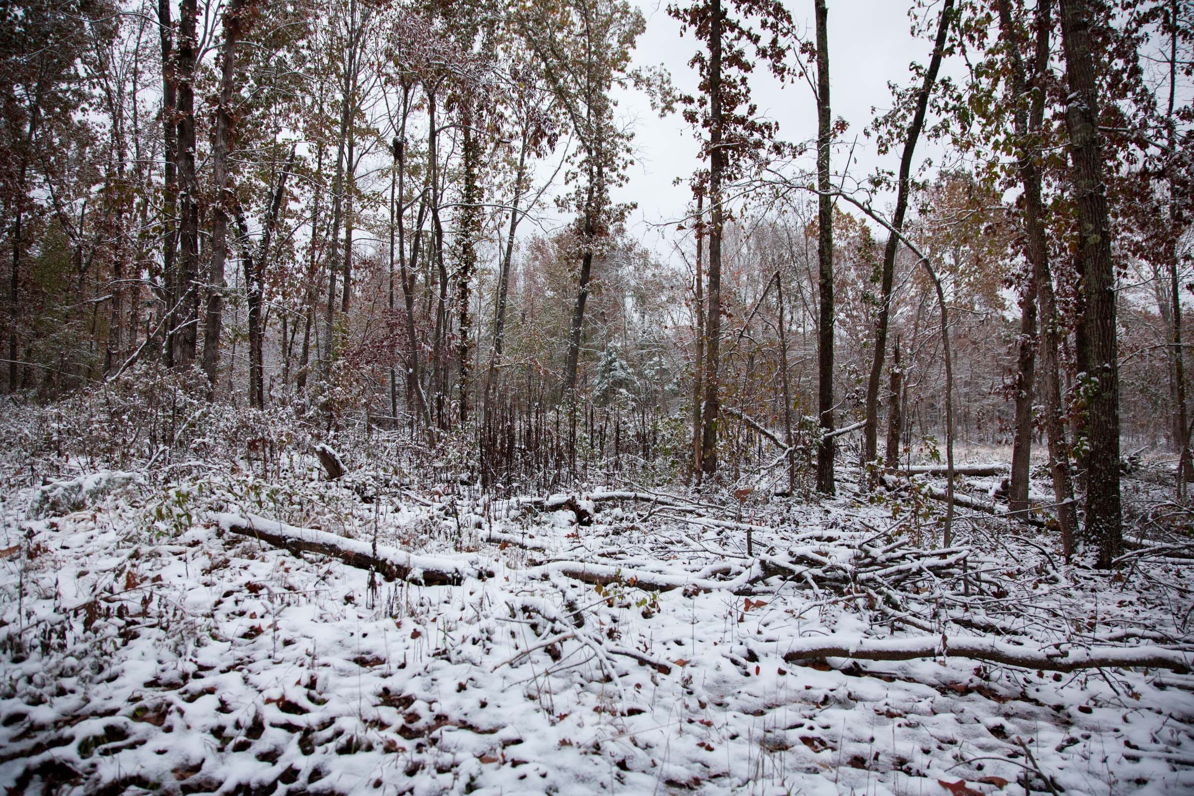 Sweet Water Ranch Tract 2 photo 7