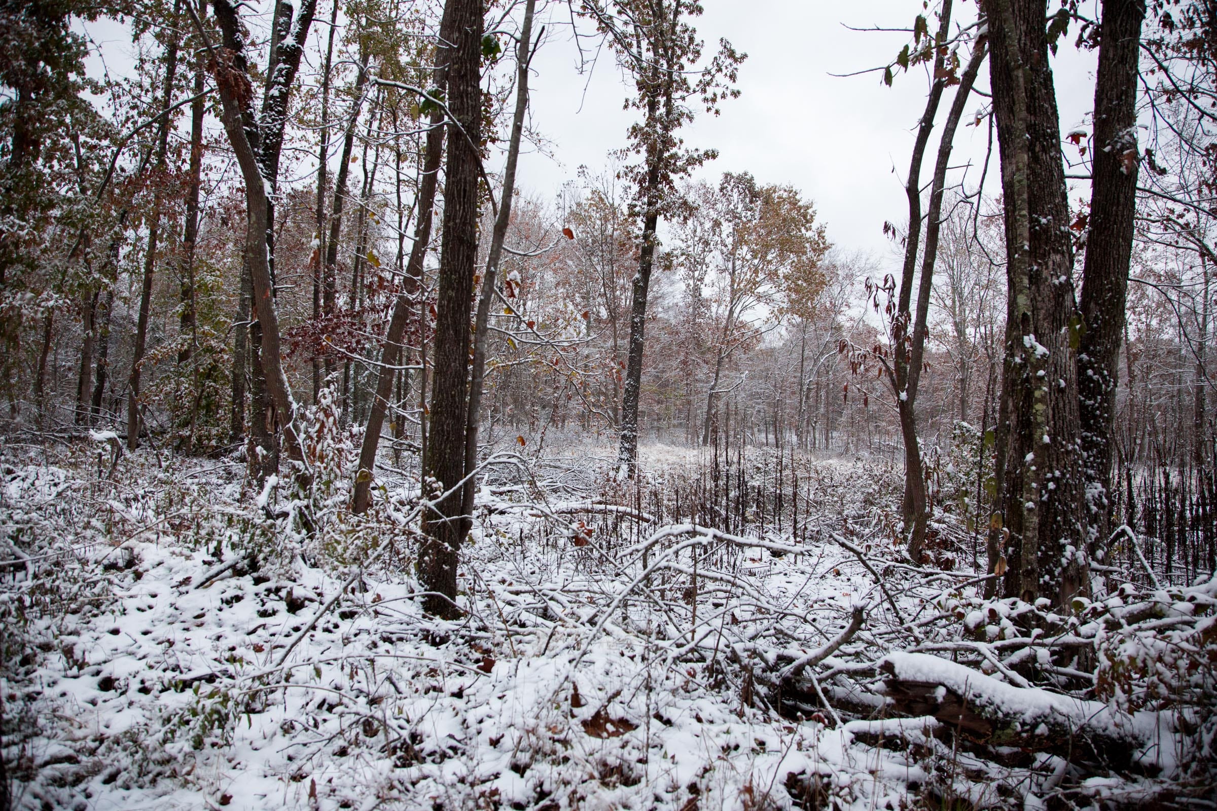 Sweet Water Ranch Tract 2 photo 8