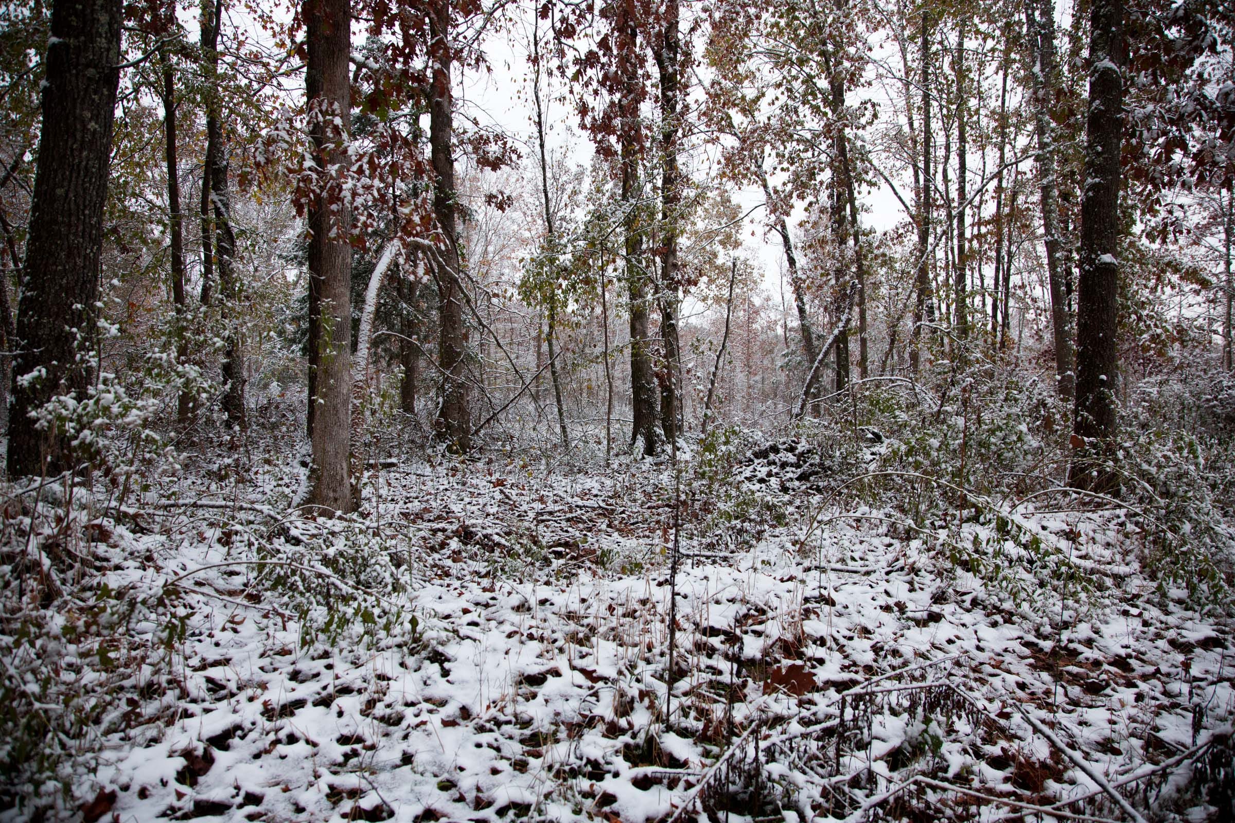 Sweet Water Ranch Tract 2 photo 9