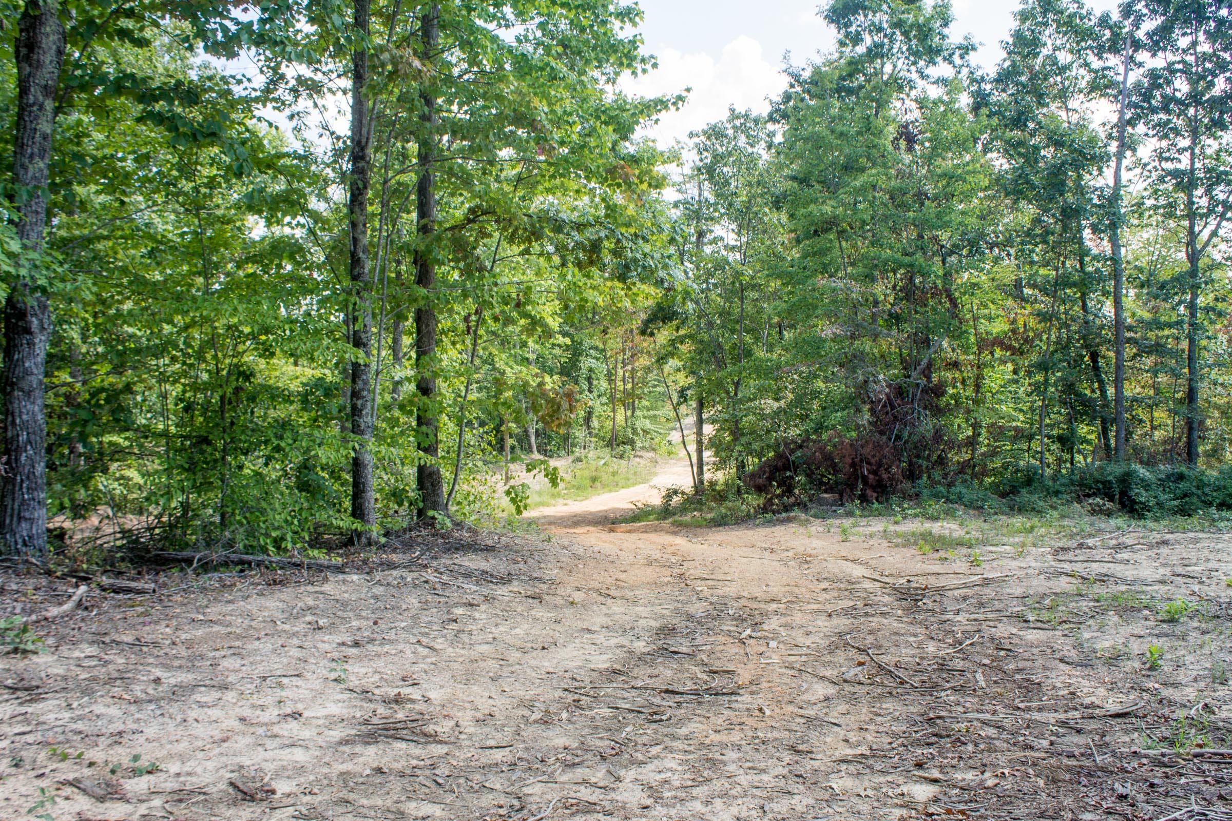 Buck Run Ridge Tract 3 photo 1
