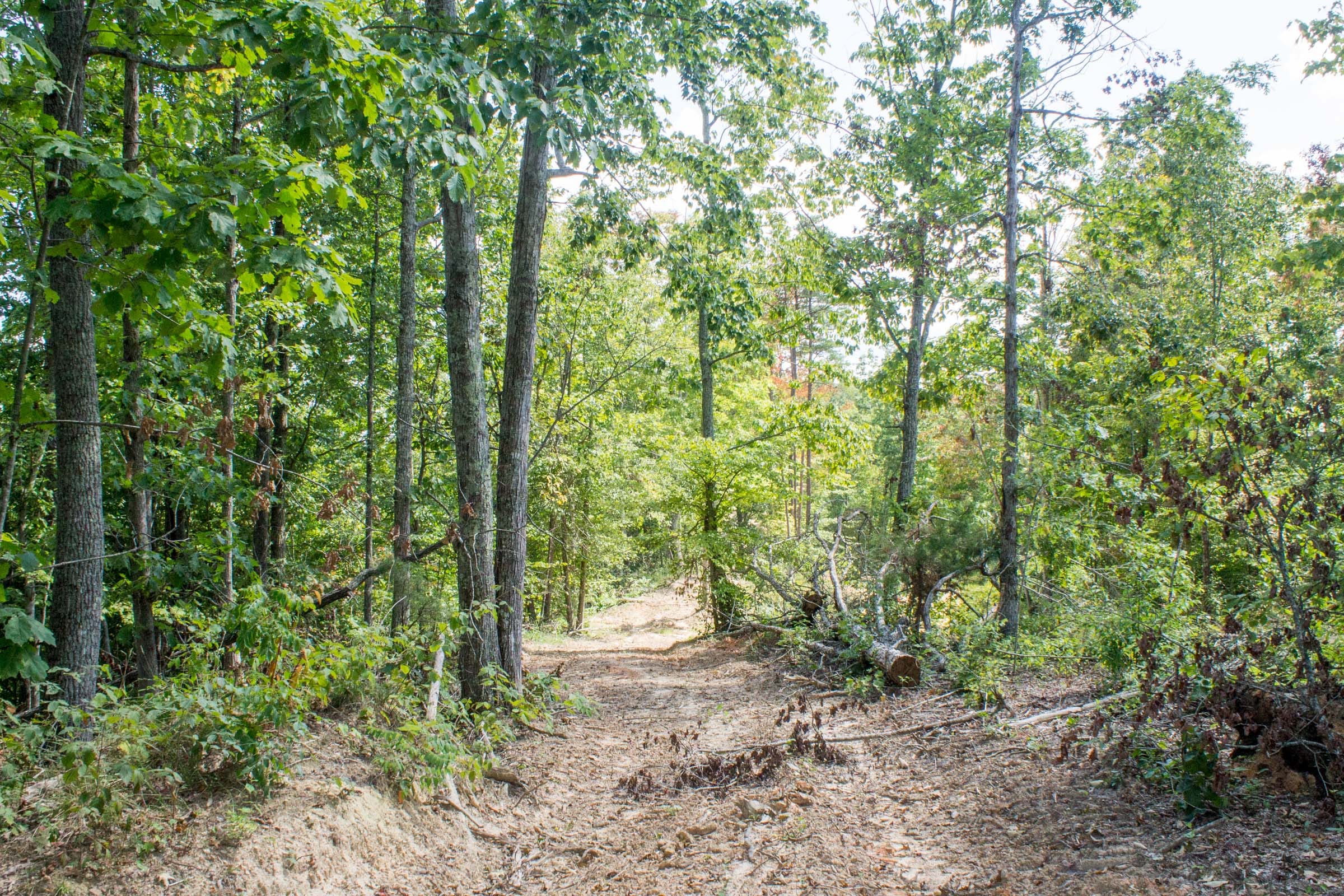 Buck Run Ridge Tract 3 photo 2