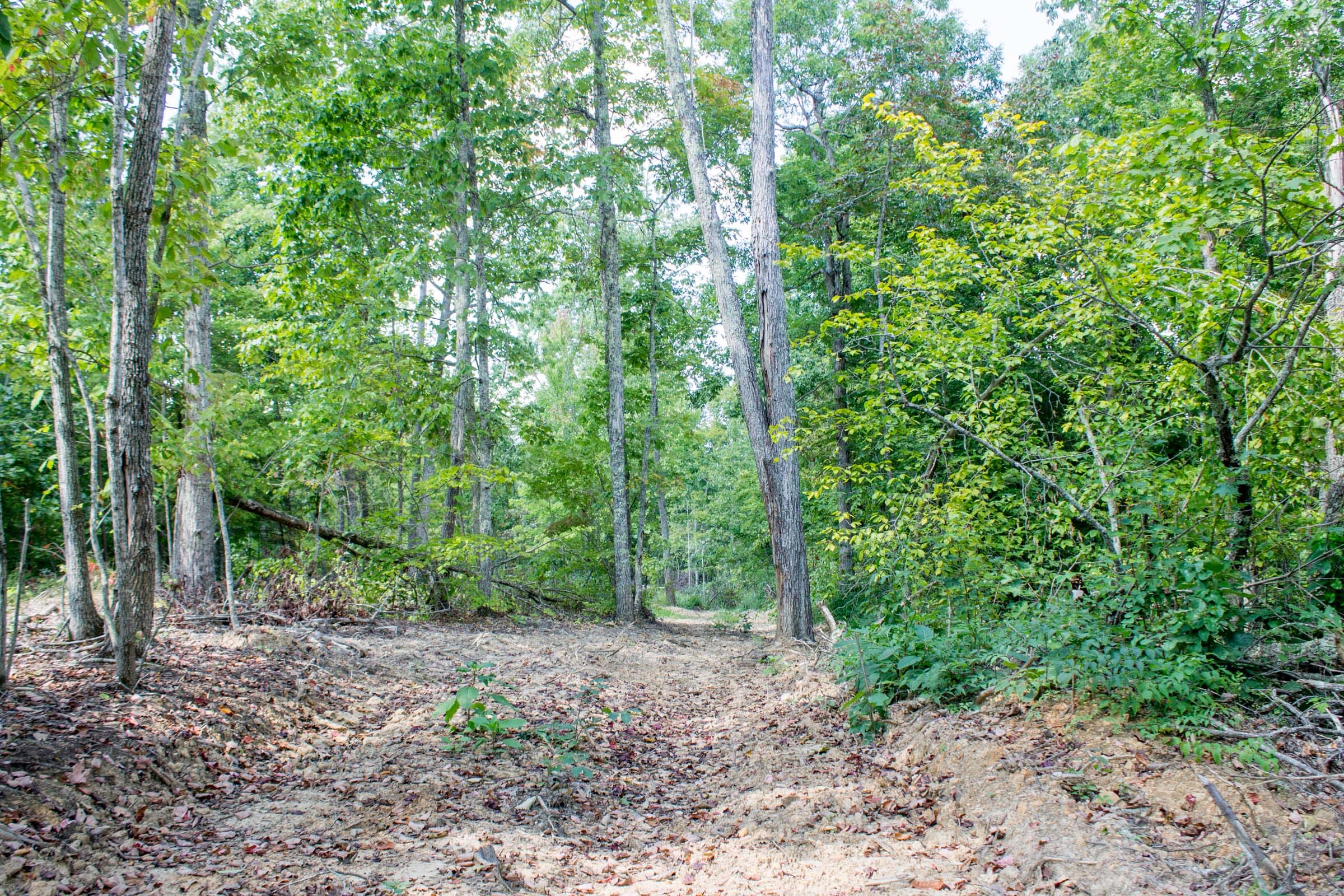 Buck Run Ridge Tract 3 photo 3