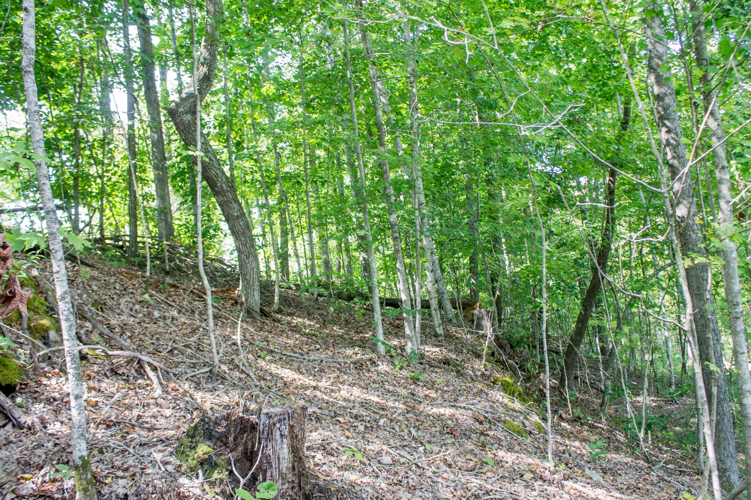 Buck Run Ridge Tract 3 photo 6