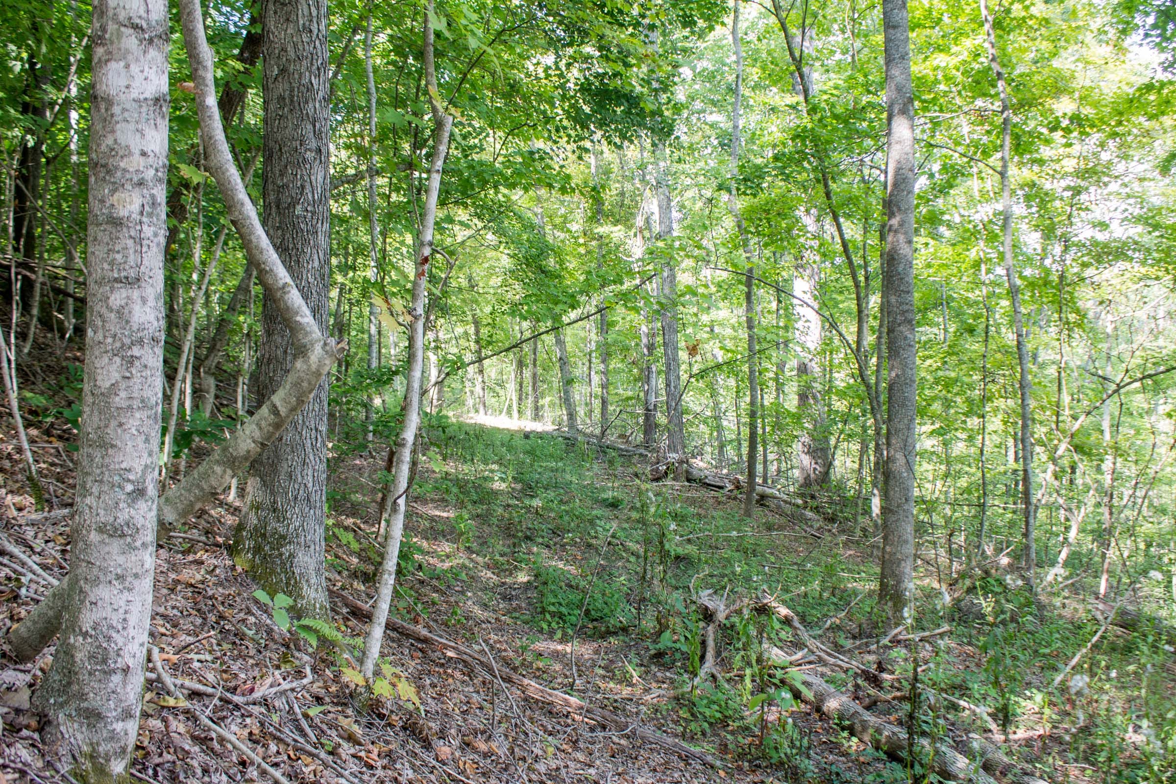 Buck Run Ridge Tract 3 photo 8