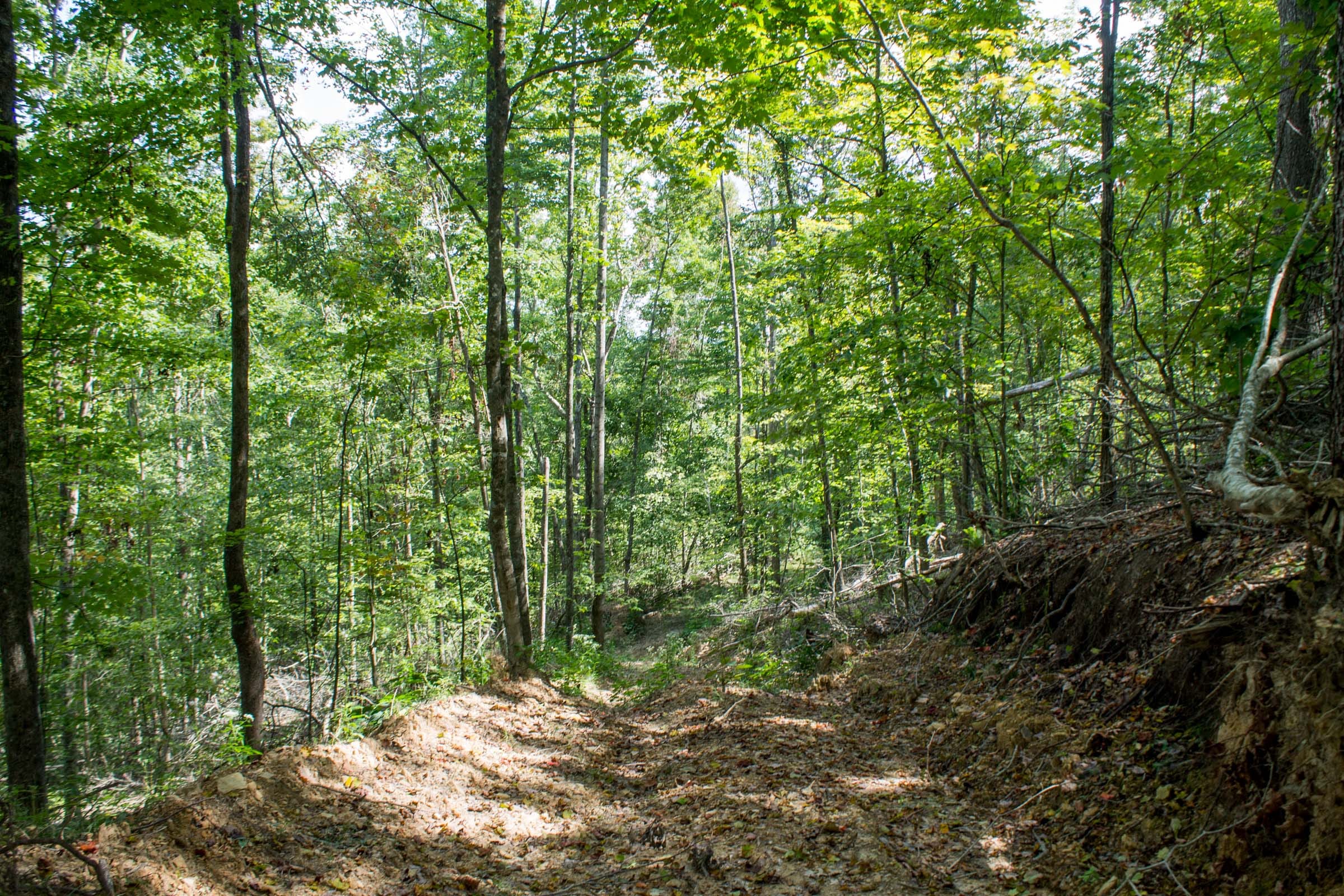 Buck Run Ridge Tract 3 photo 11