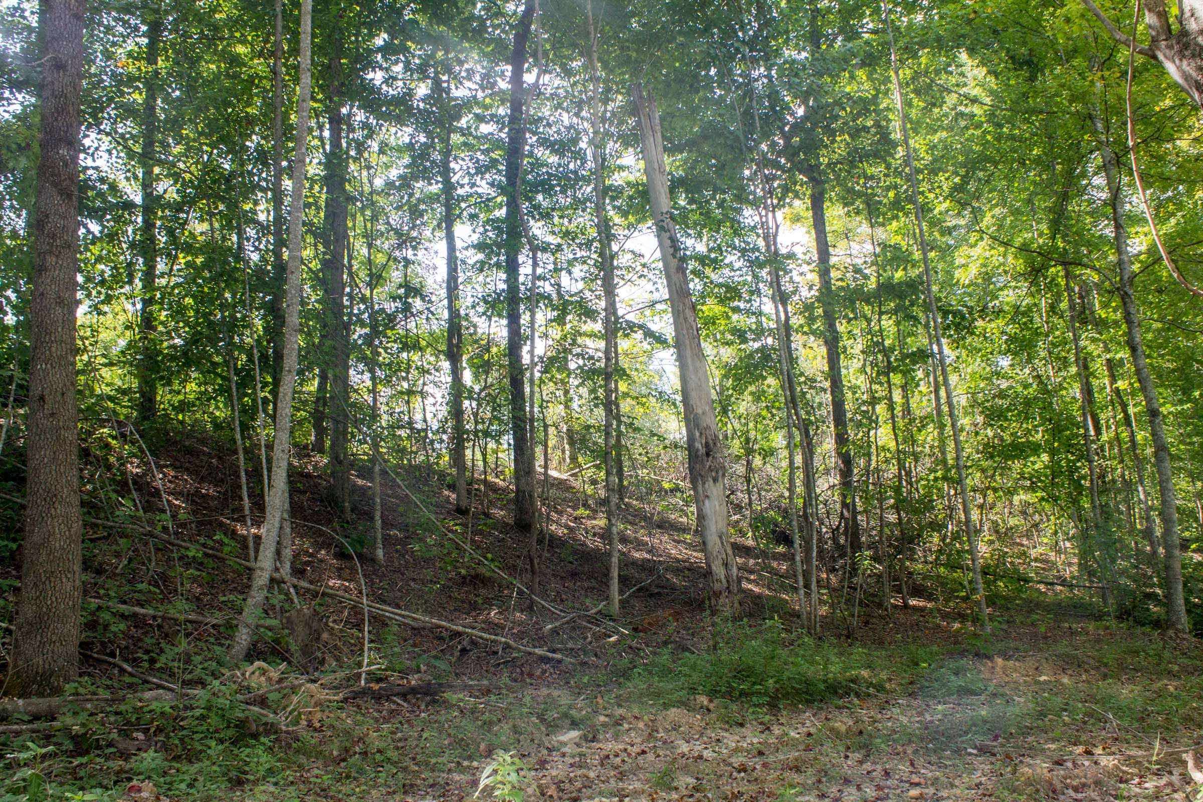 Buck Run Ridge Tract 3 photo 12