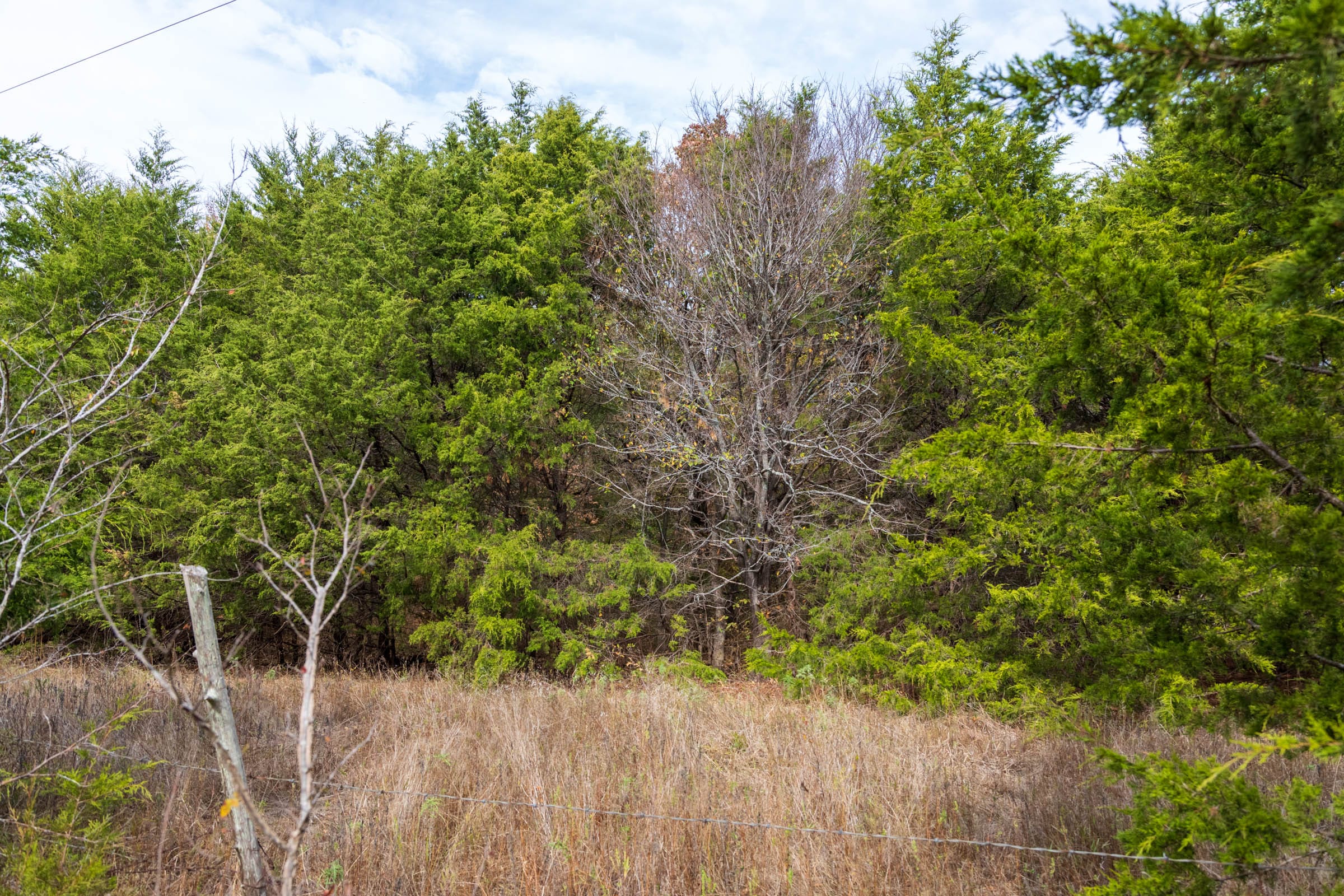 Crystal Springs Tract 12 photo 4